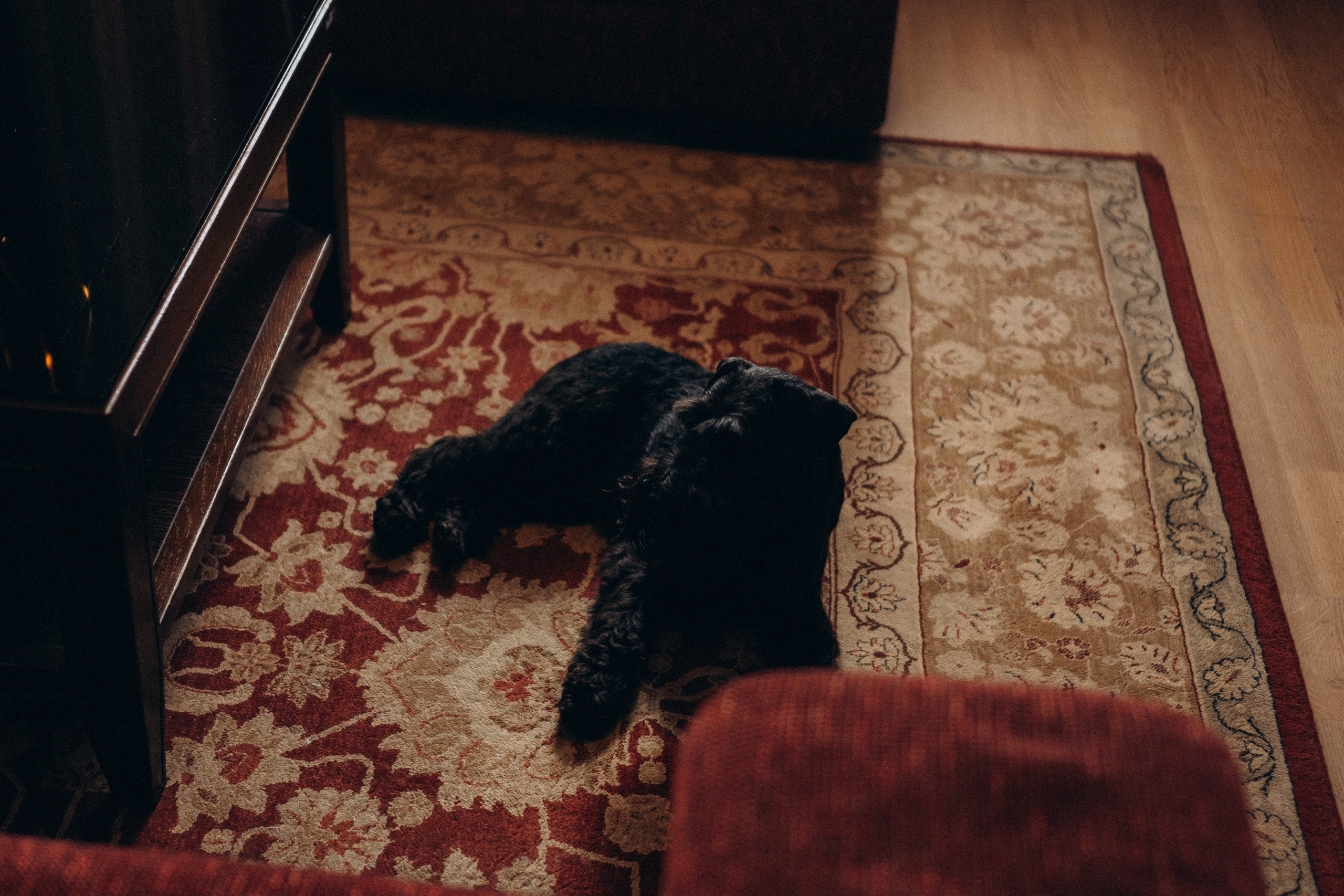 ДЕНЬ РОЖДЕНИЯ. Профессиональный фотограф, Санкт-Петербург — Виктория Богомолова