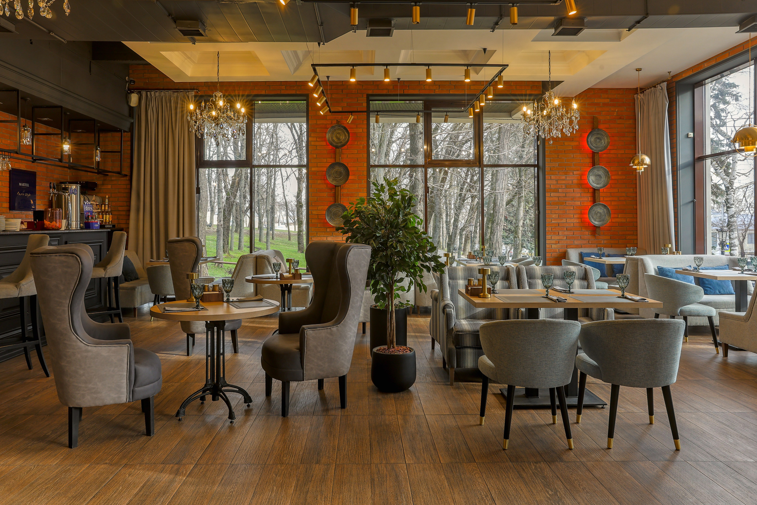 Каштан. Фотограф Ставрополь Петр Голубенко