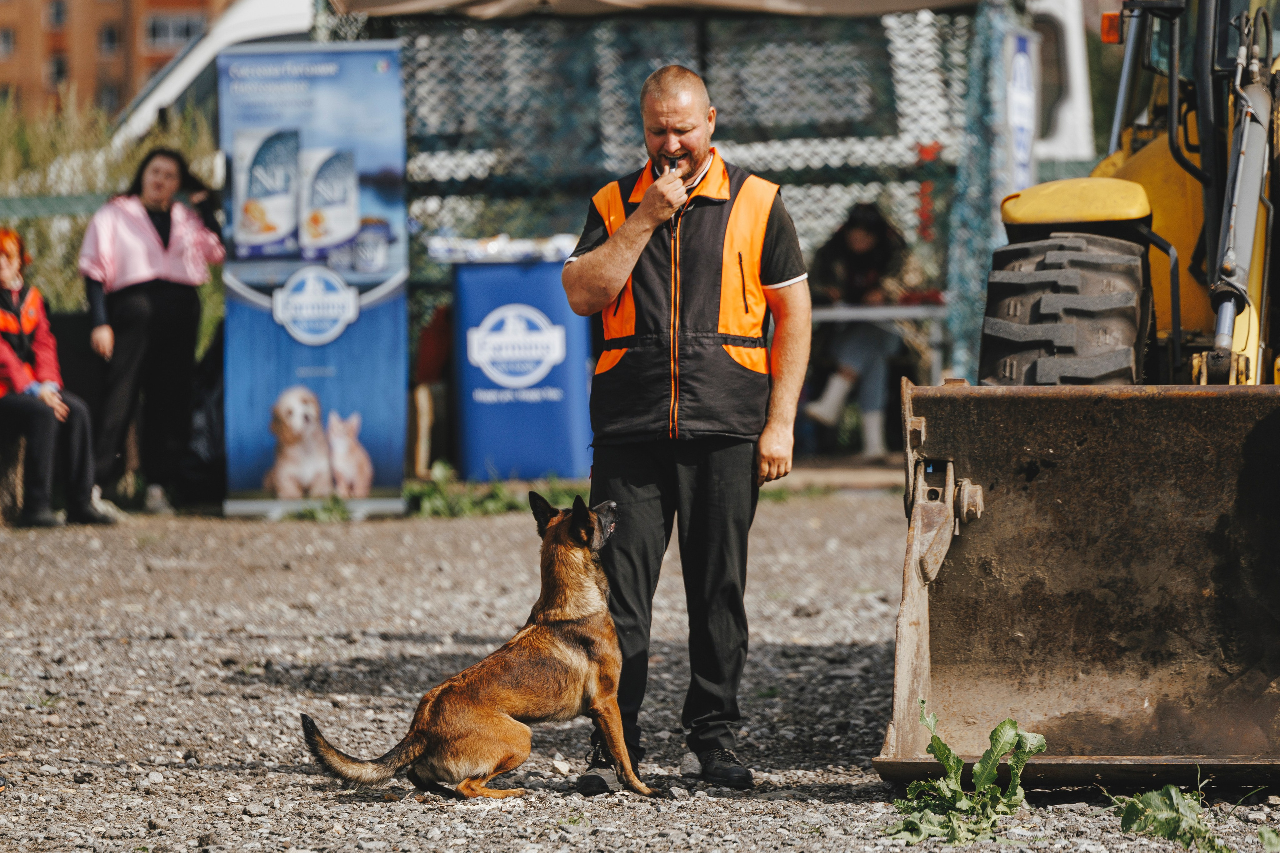08.08.25-10.08.25 ЧР по мондьорингу г. Вологда. Фотограф-анималист Анна Маринич