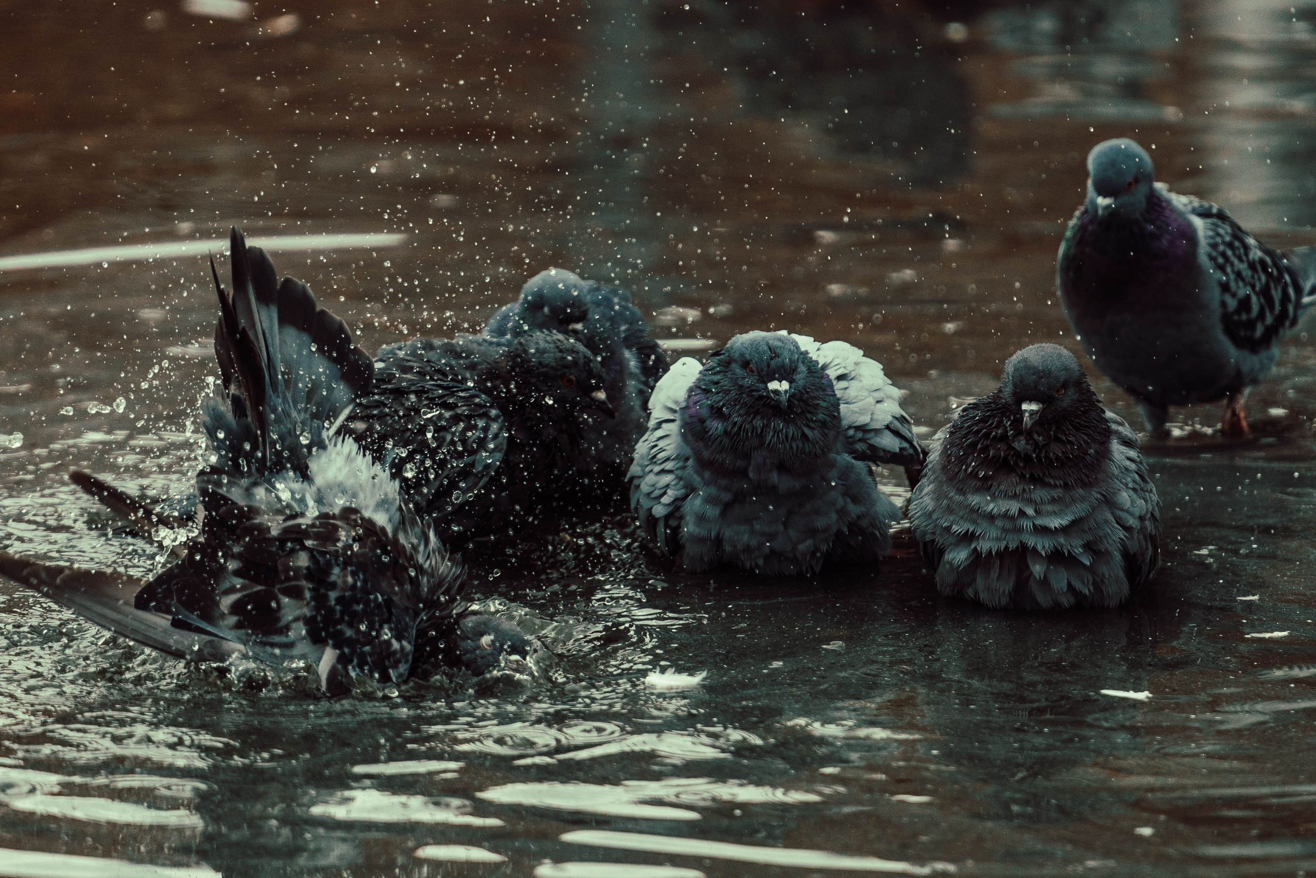 Усть-Каменогорск, Сентябрь 2024