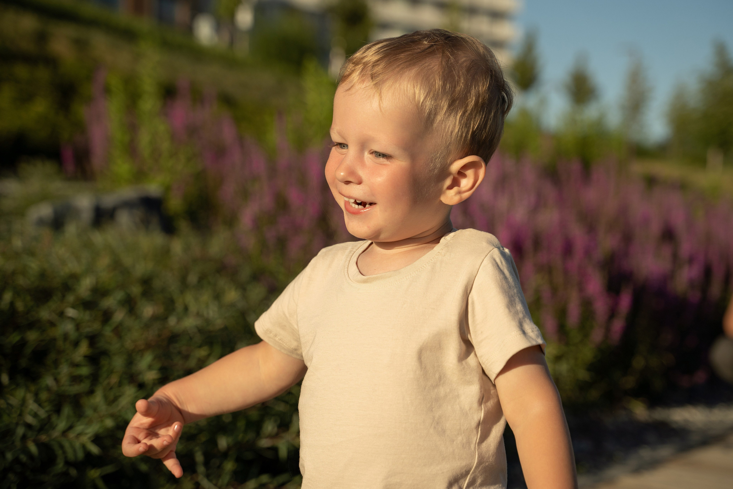 Семейная прогулка. Главная