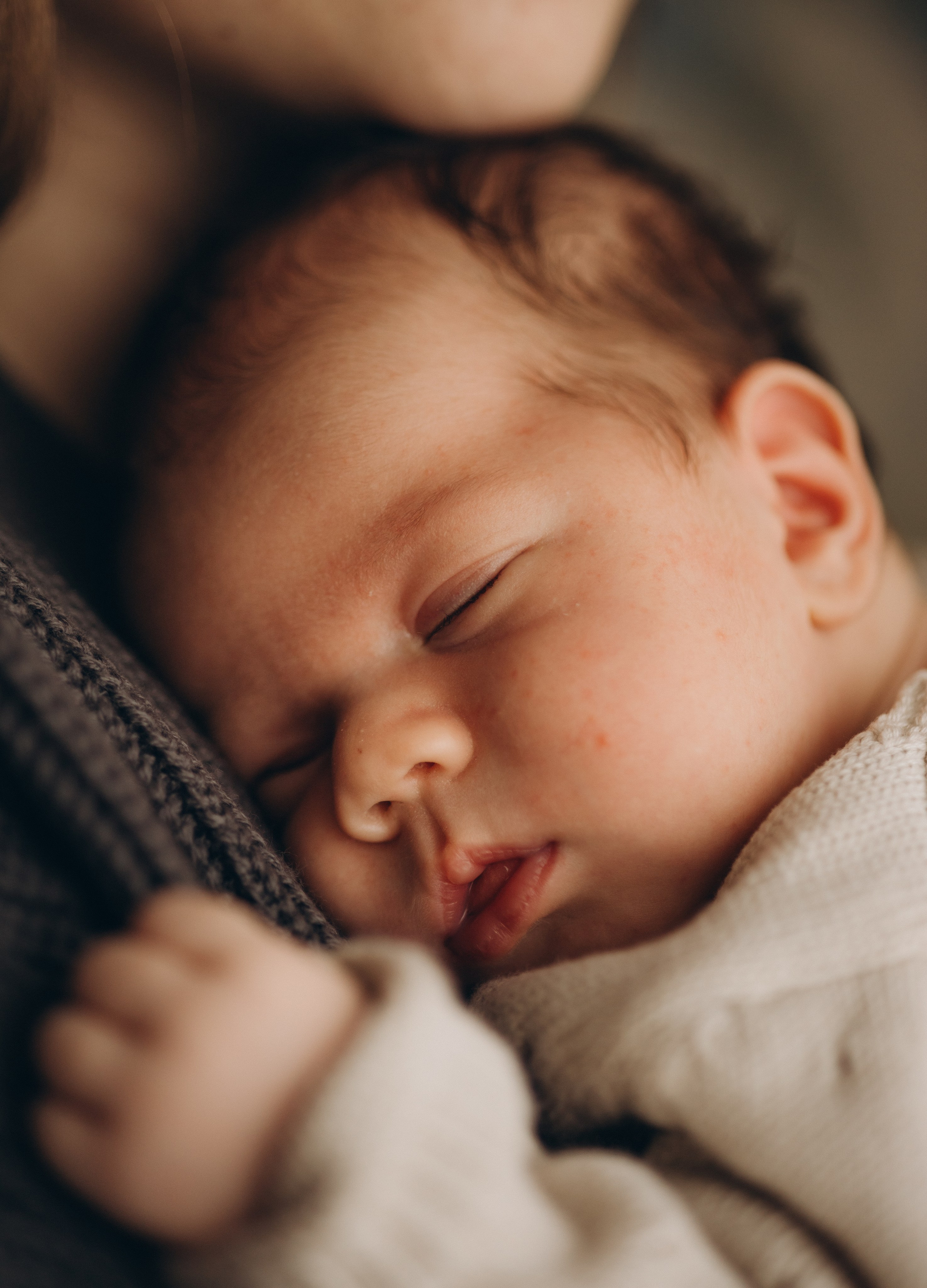 Максим с мамой, папой и братиком Марком. Семейный и детский фотограф, женский портрет Москва Светлана Мертикова