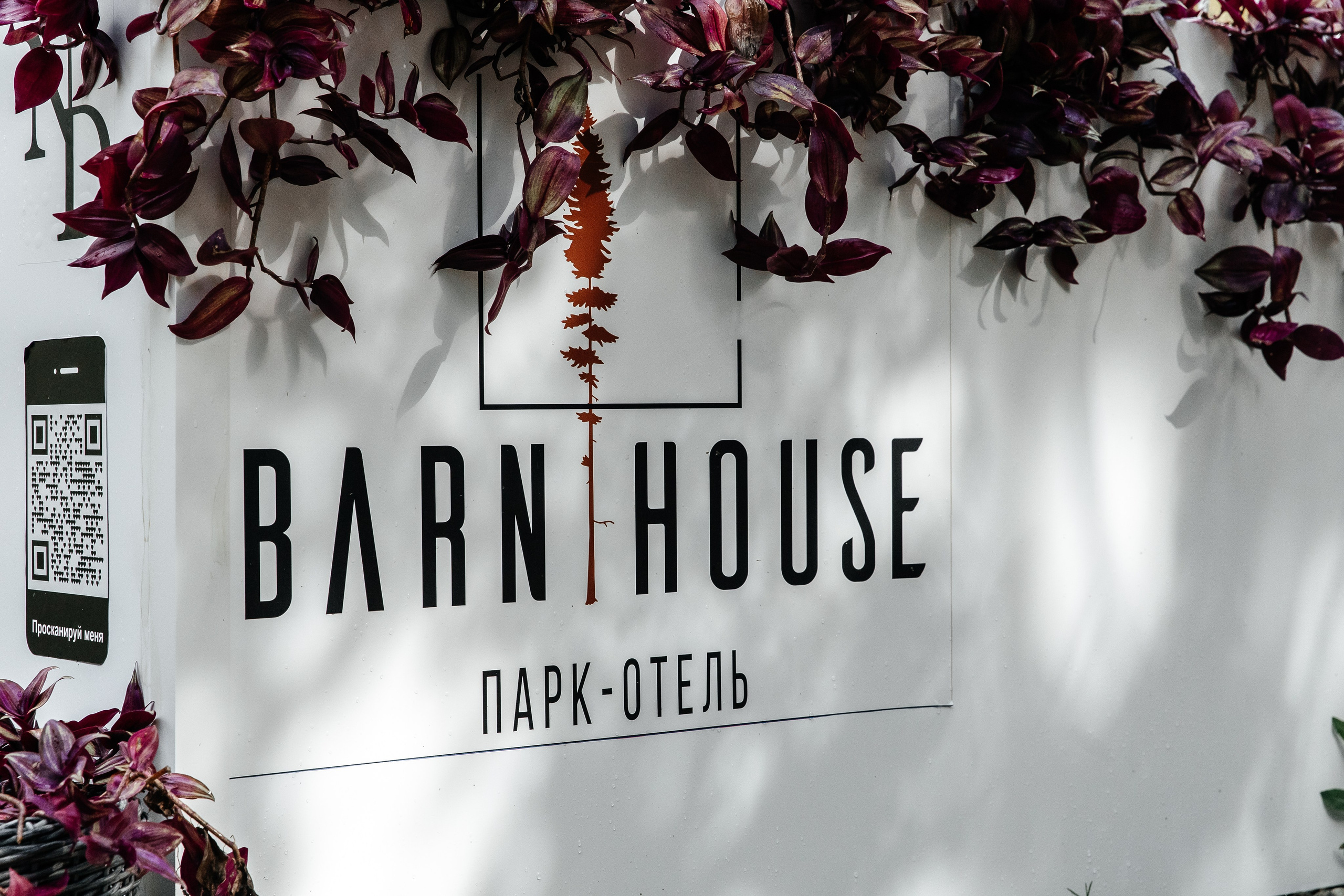 Свадебный кролик