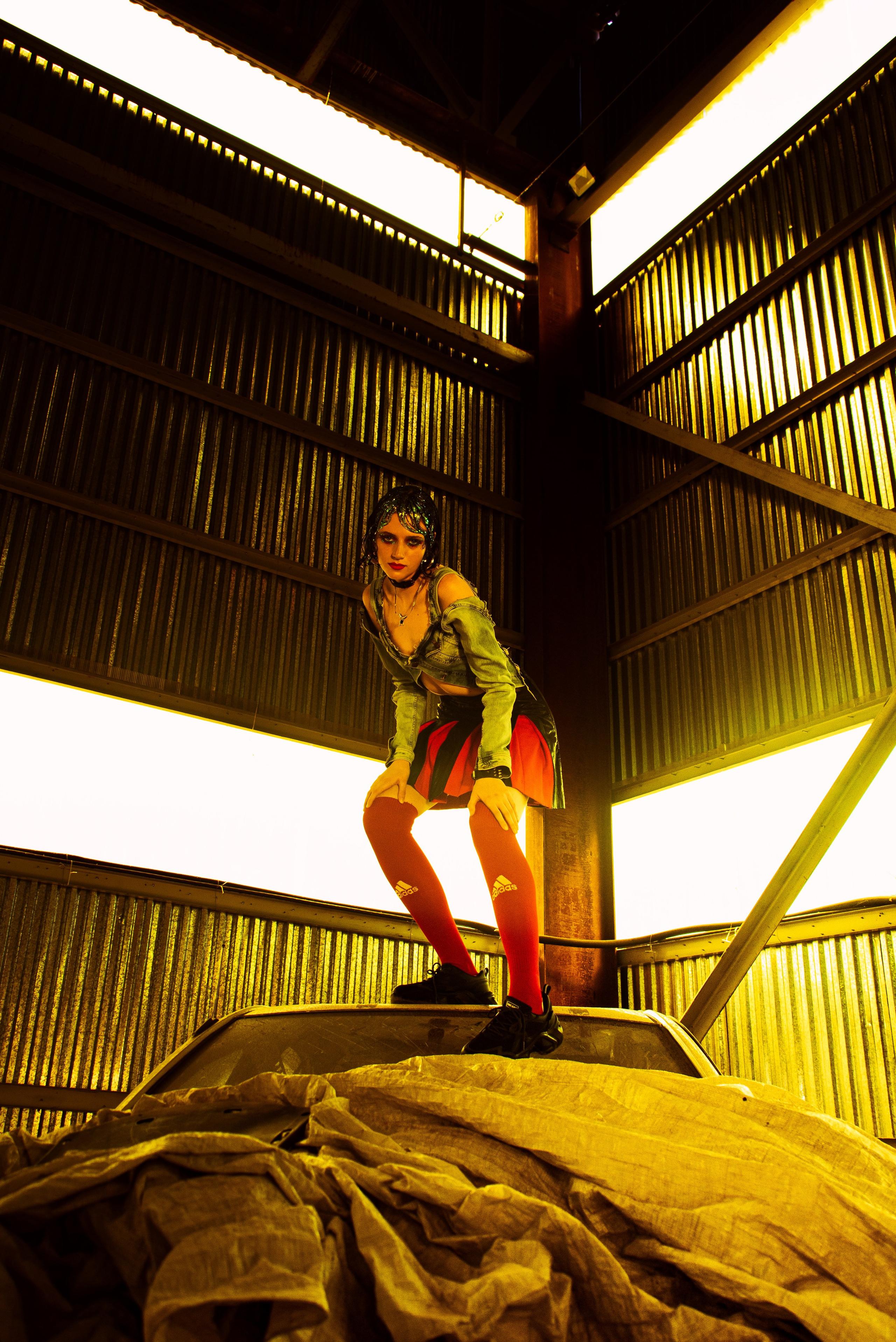 PROMESA. Visual Creator Paulina Gonsales