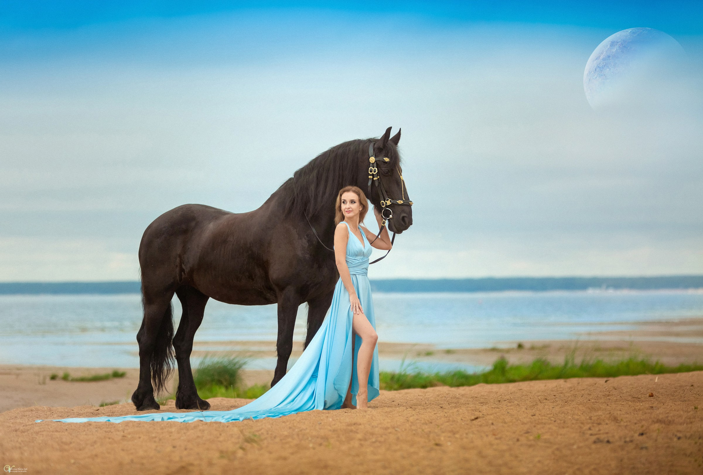 Фотосессии с лошадьми летом. Фотограф женский и мужской портрет Санкт-Петербург