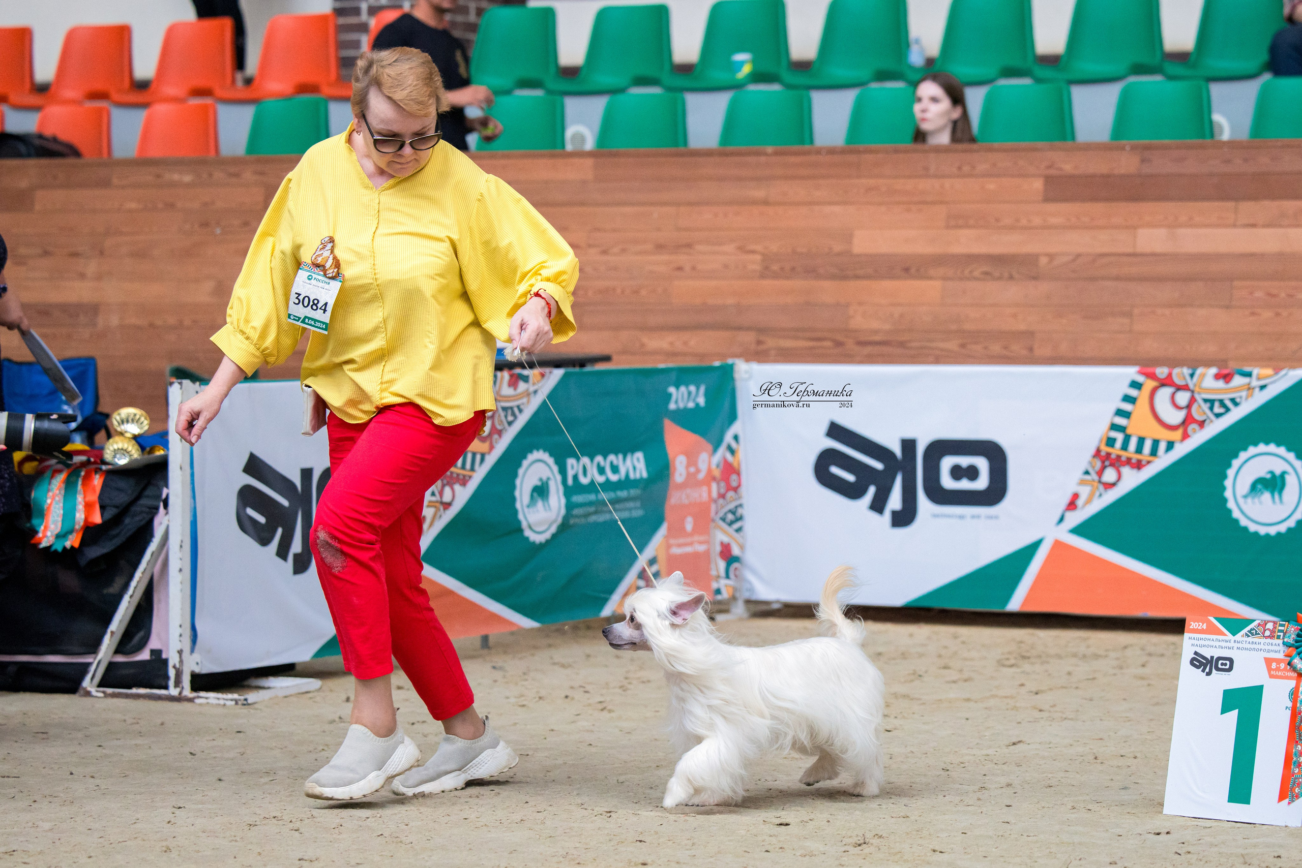 РОССИЯ 8-9.06.2024. Фотограф-анималист Юлия Германика