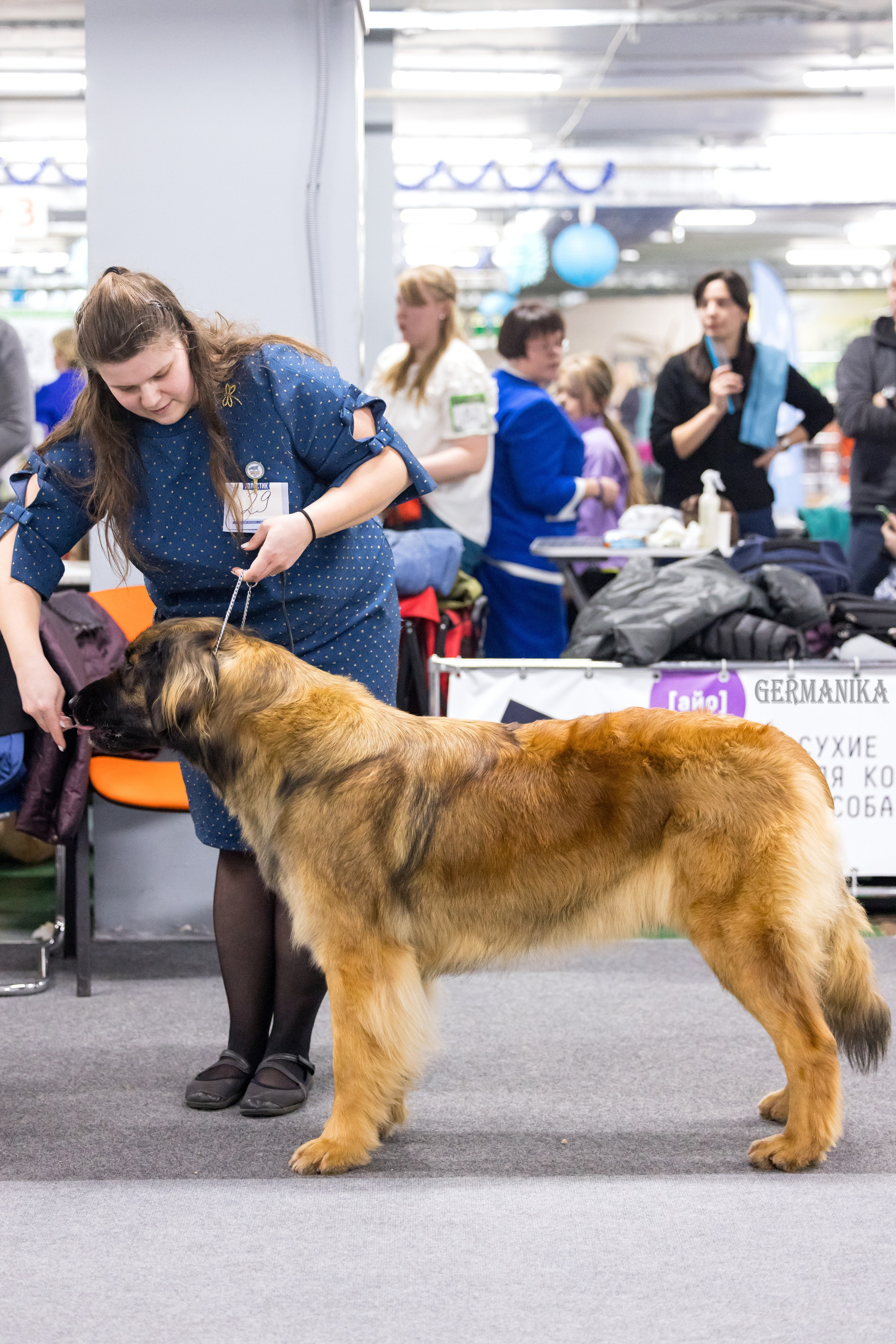 Сфера 28.01. и 4.02.2024. Фотограф-анималист Юлия Германика