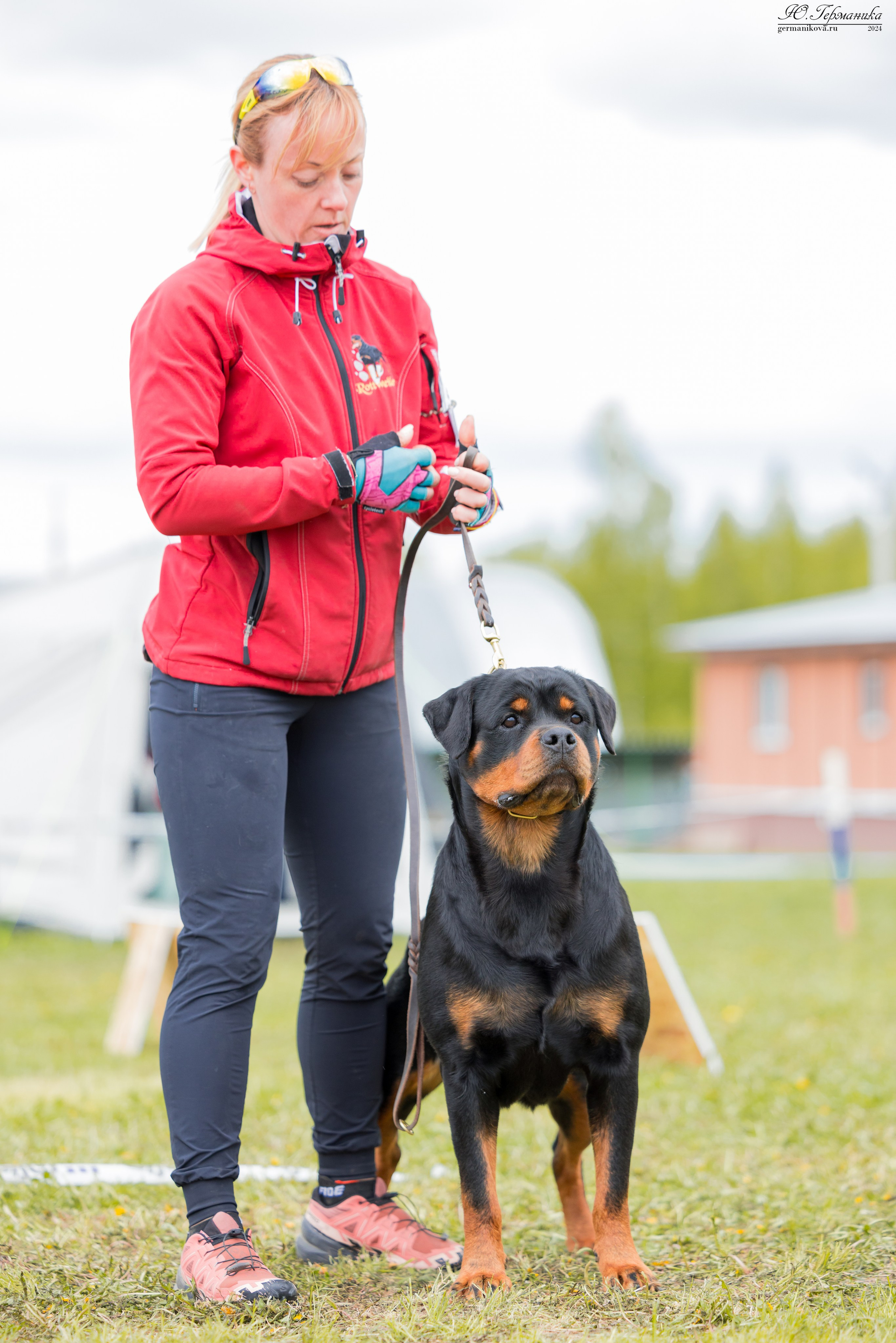 Нижний Новгород 11-12.05.2024 моно ротвейлеров. Фотограф-анималист Юлия Германика