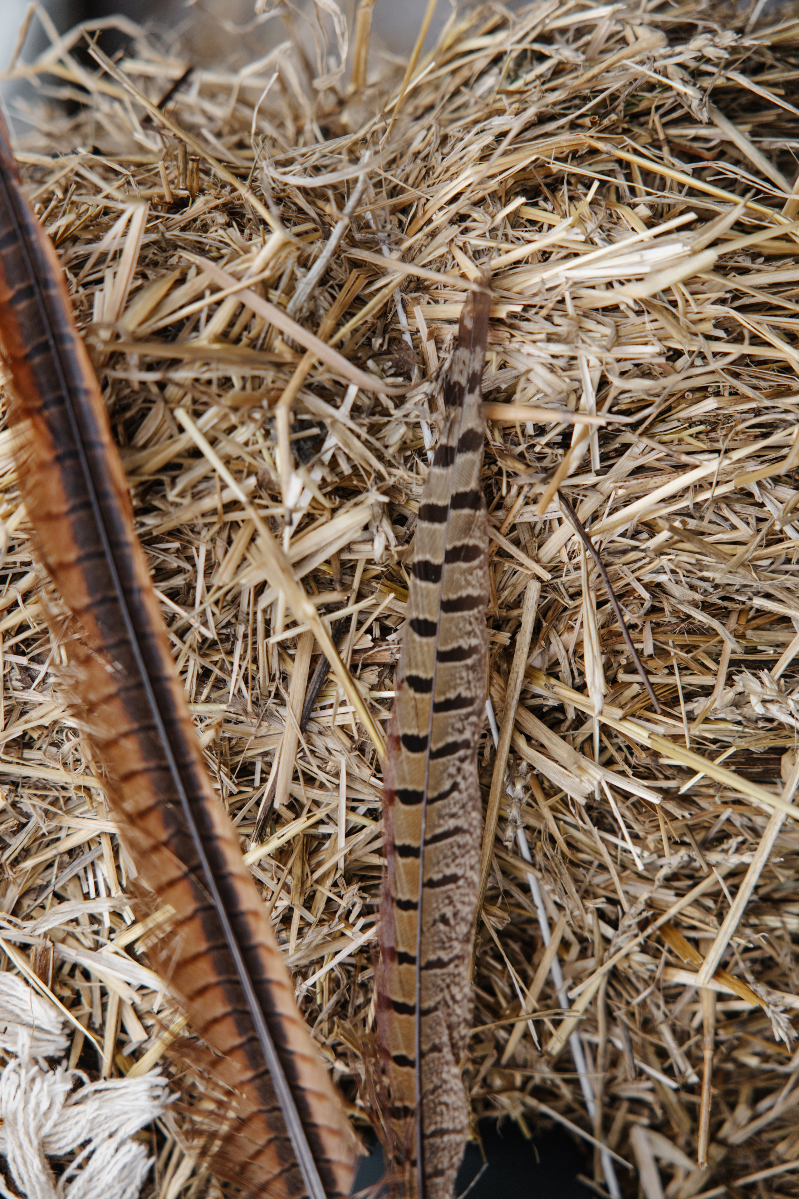 ГРЕНАДА. Фотограф в Красноярске