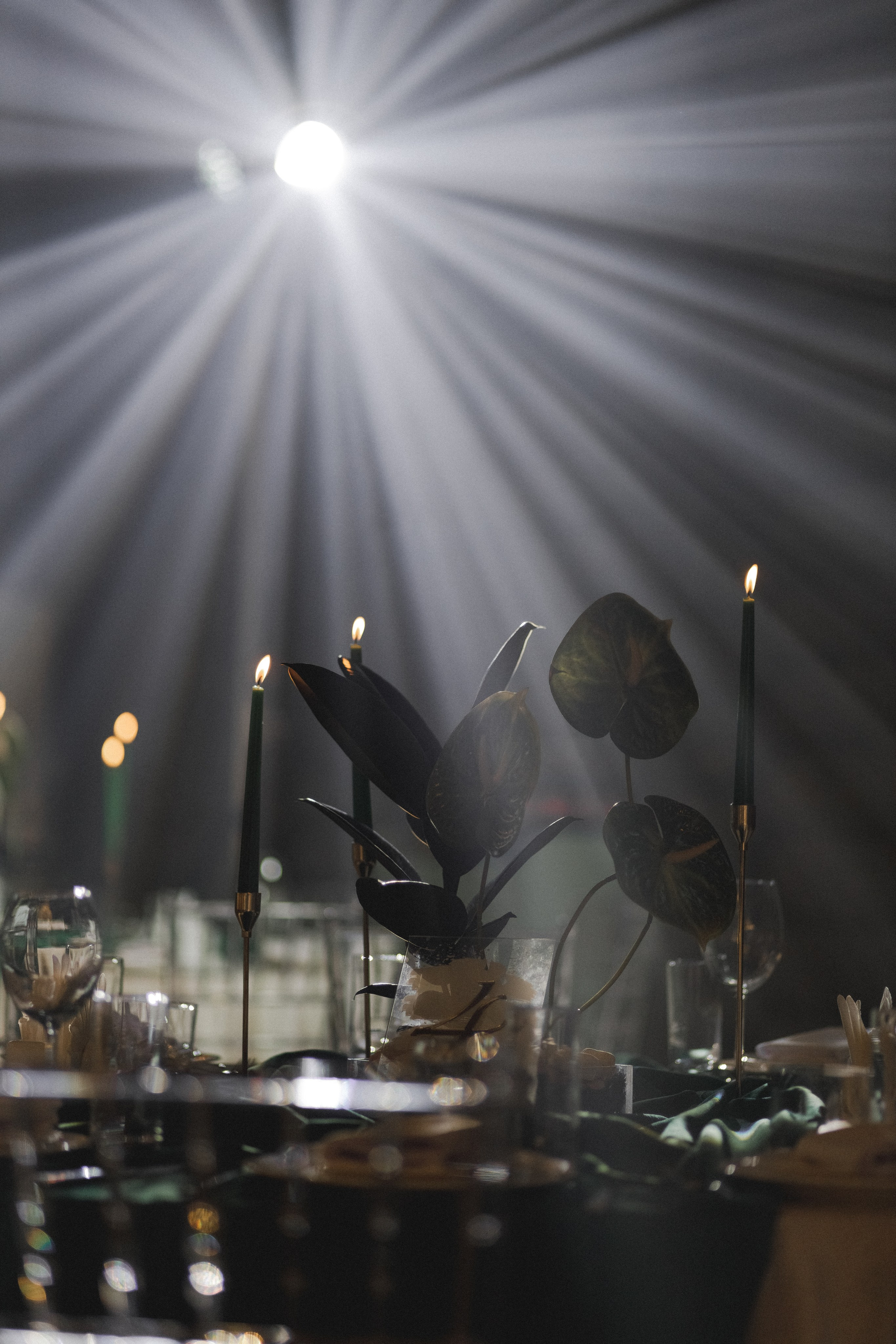 Artem|Dana. Фотограф Астана. Индивидуальные, парные и семейные фотосессии