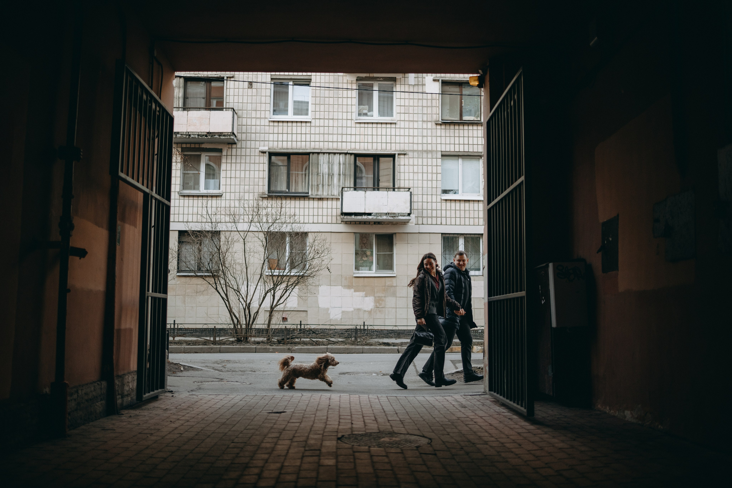 Шкипер и его семья. Фотограф — Анималист | Санкт-Петербург