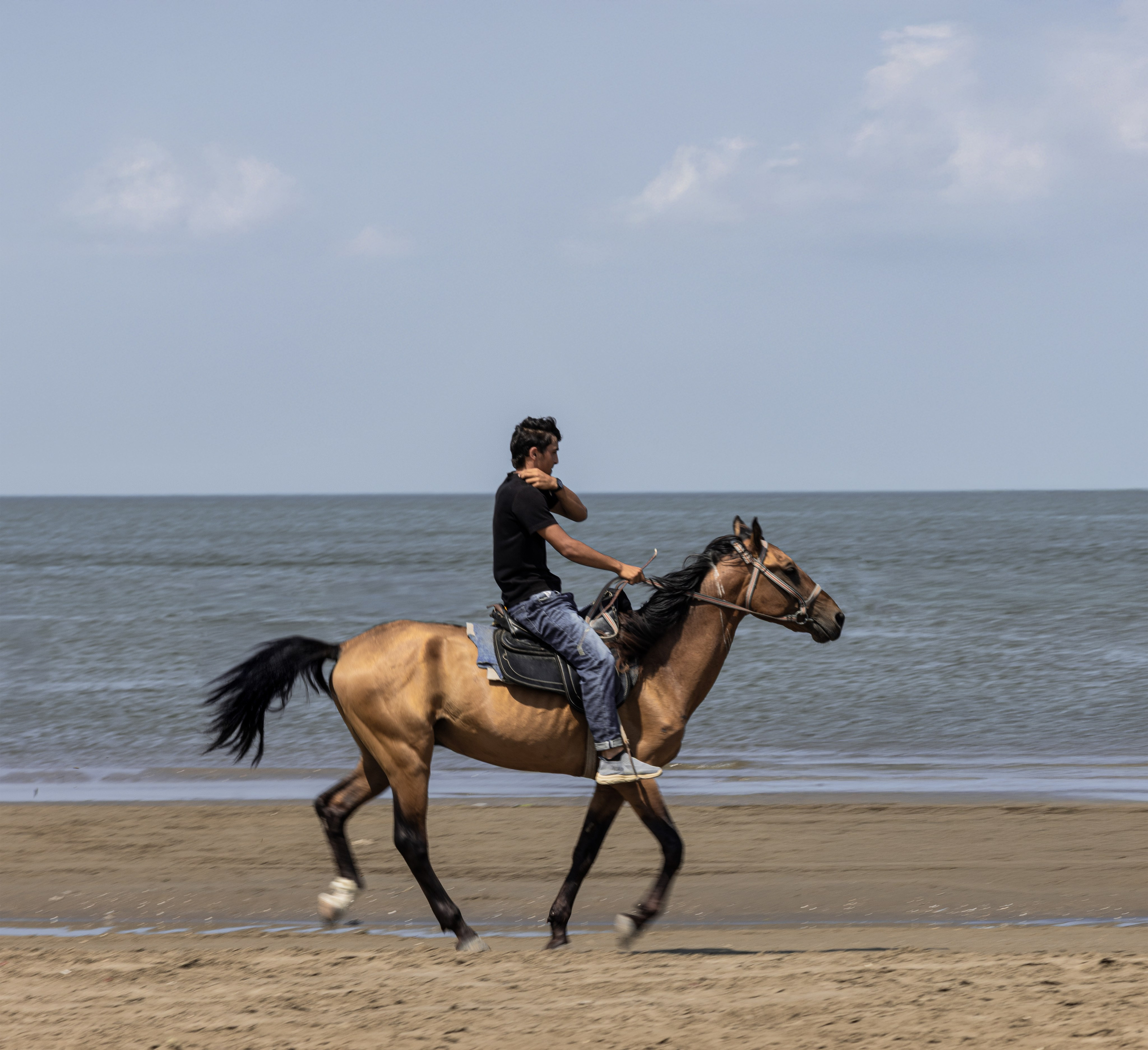 LANDSCAPE. Art Рhotographer