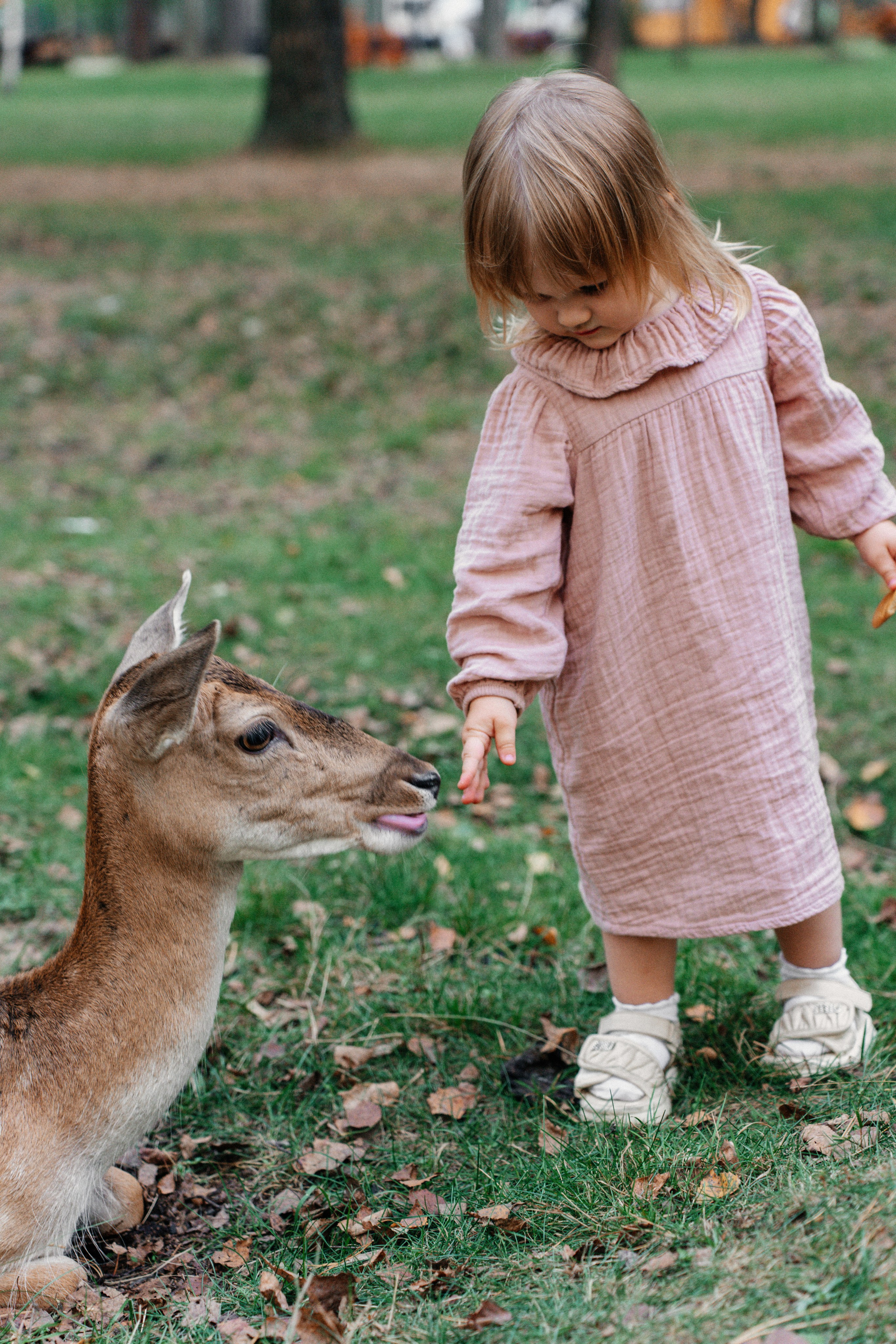Диприз — в мире диких животных. Ваш семейный фотограф в Минске — Вика Трегубова