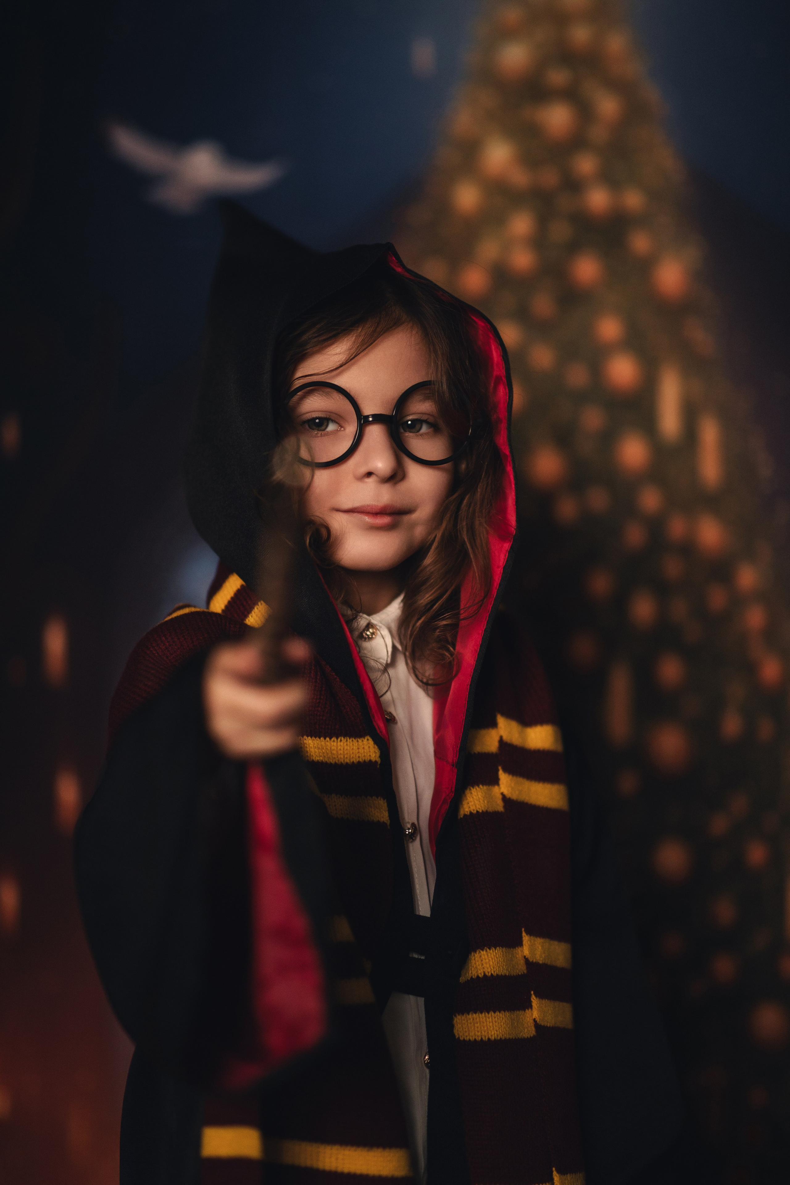 Новый год в Хогвартсе. Фотограф во Владикавказе Юрий Геворгизов