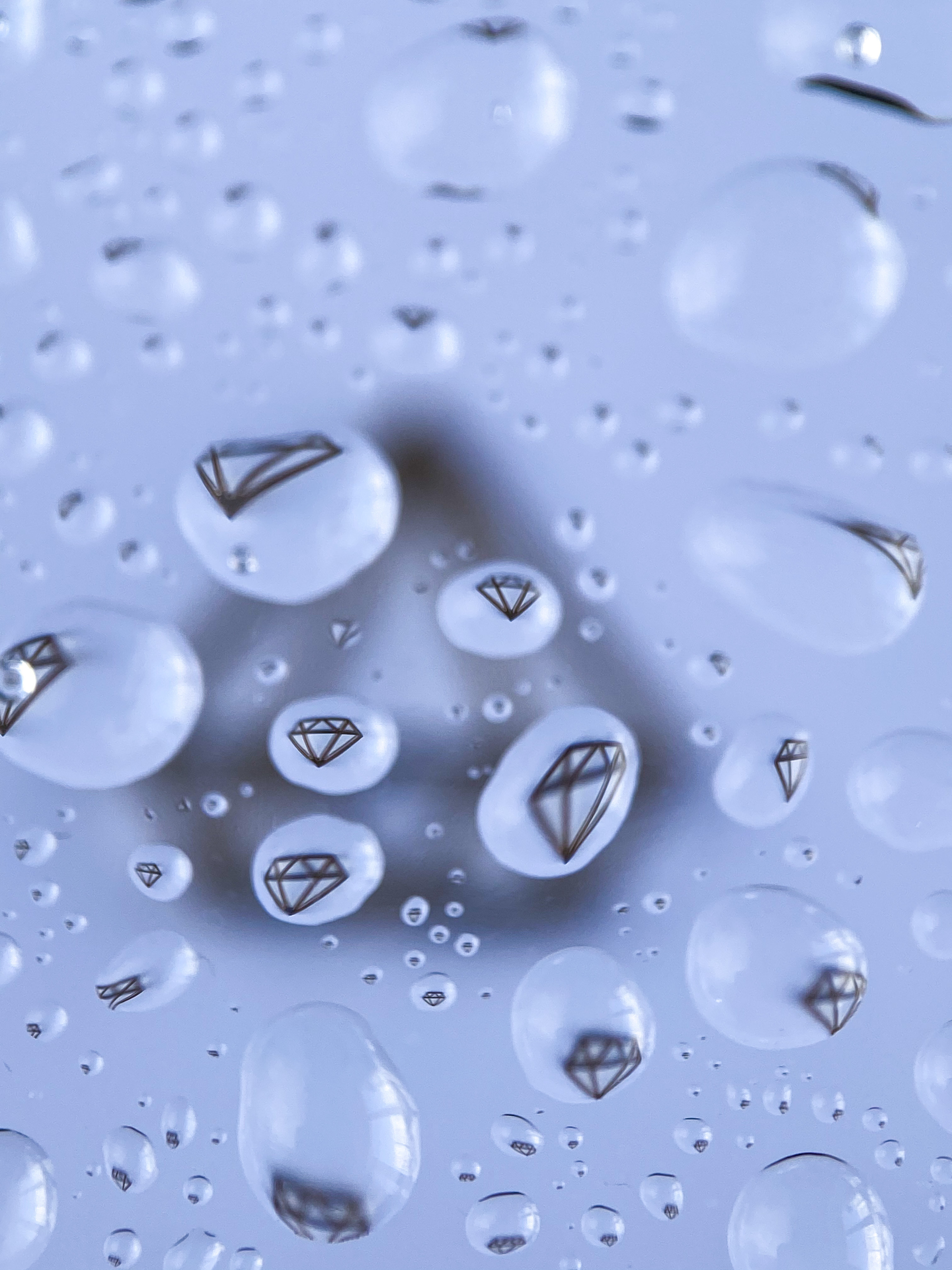 Макросъемка. Фотограф и видеограф в Ставрополе Инна Попова