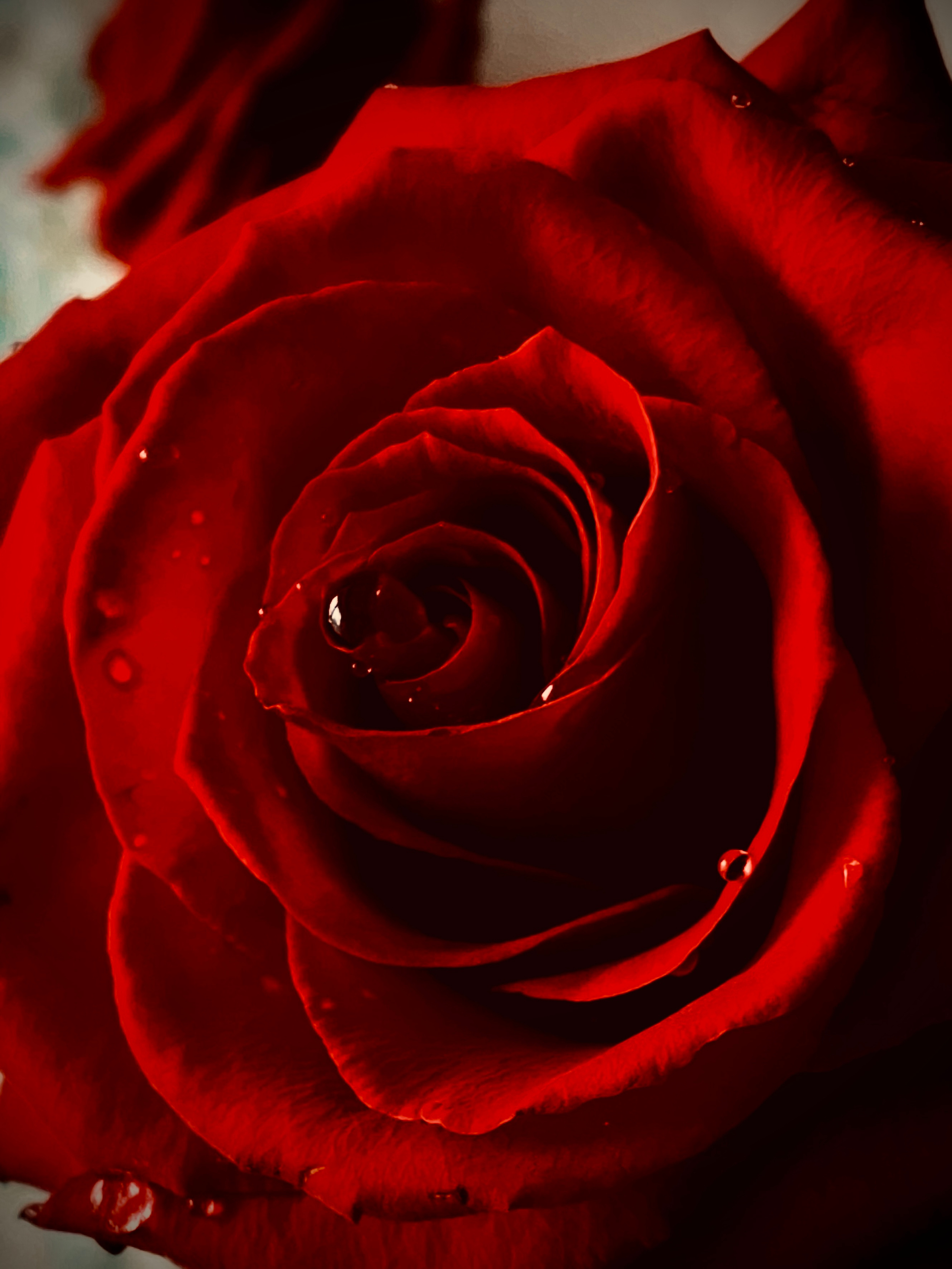 Предметная сьемка. Фотограф и видеограф в Ставрополе Инна Попова