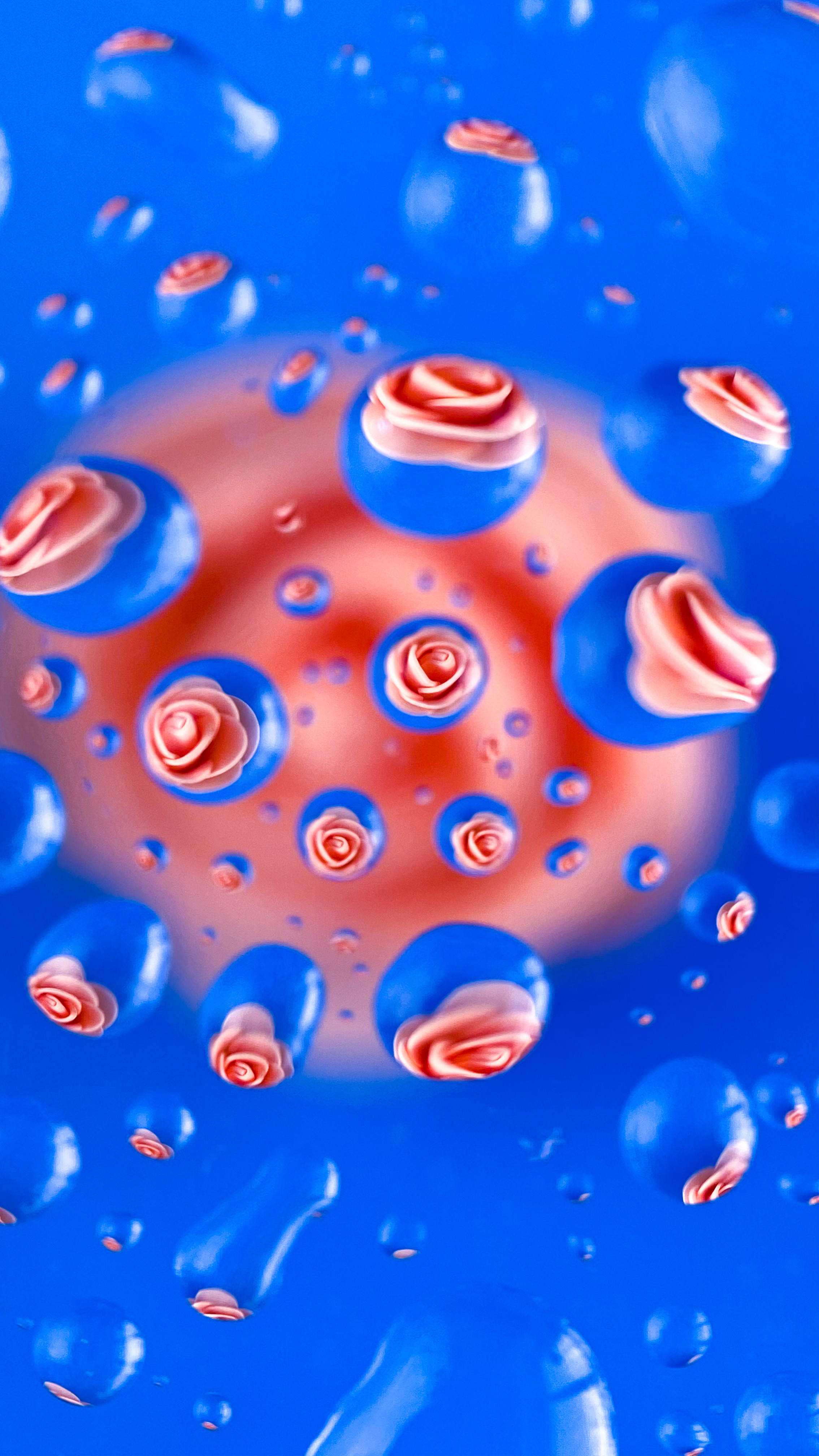 Макросъемка. Фотограф и видеограф в Ставрополе Инна Попова