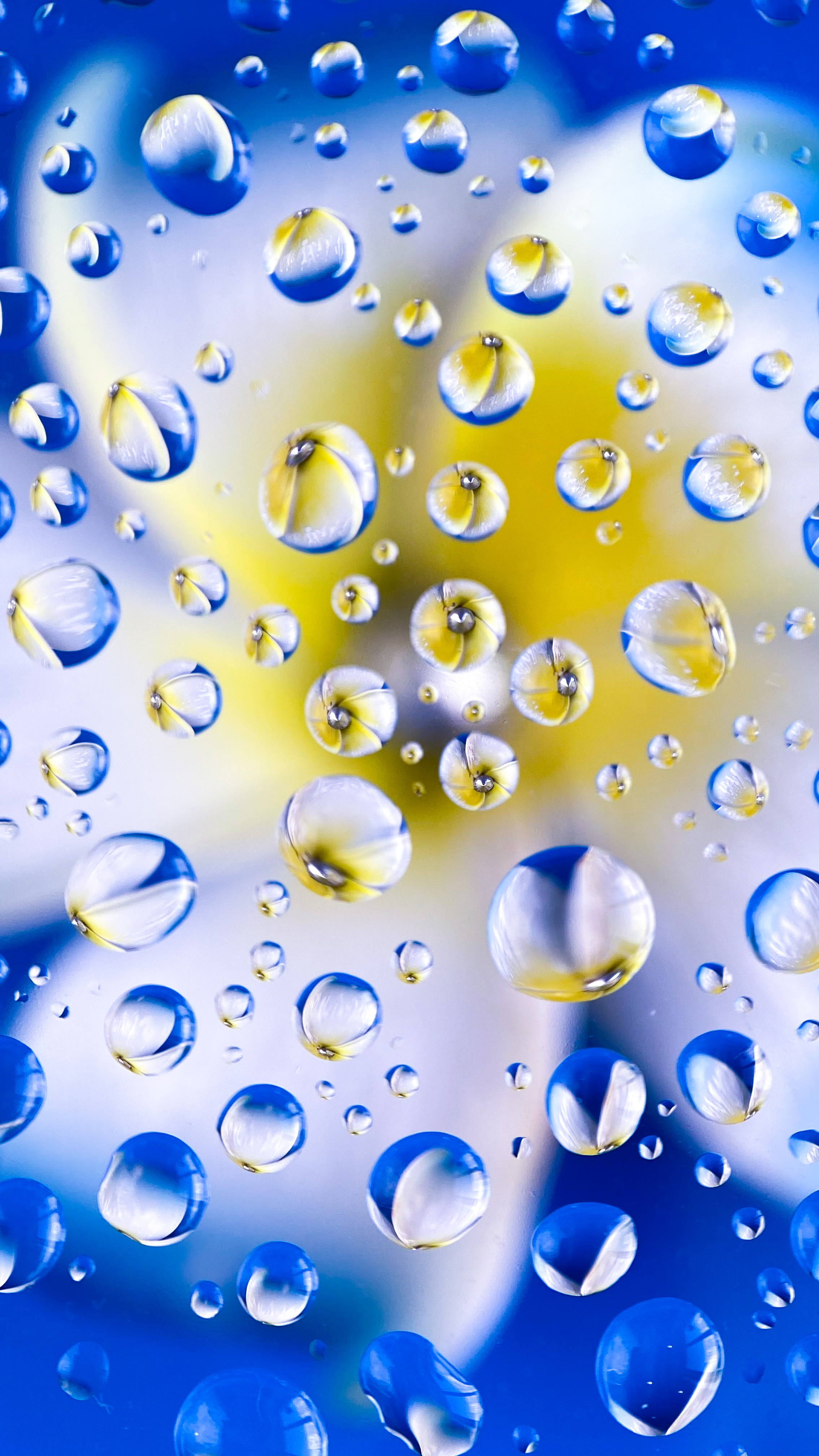 Макросъемка. Фотограф и видеограф в Ставрополе Инна Попова