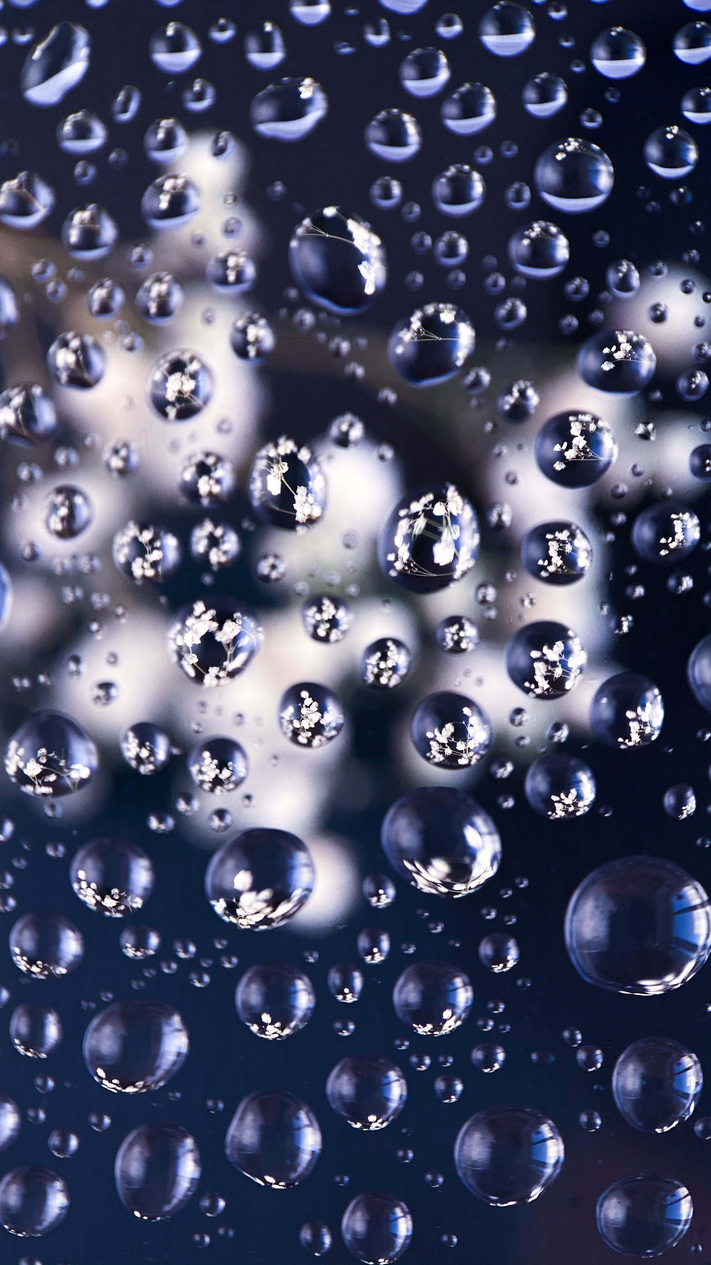 Макросъемка. Фотограф и видеограф в Ставрополе Инна Попова