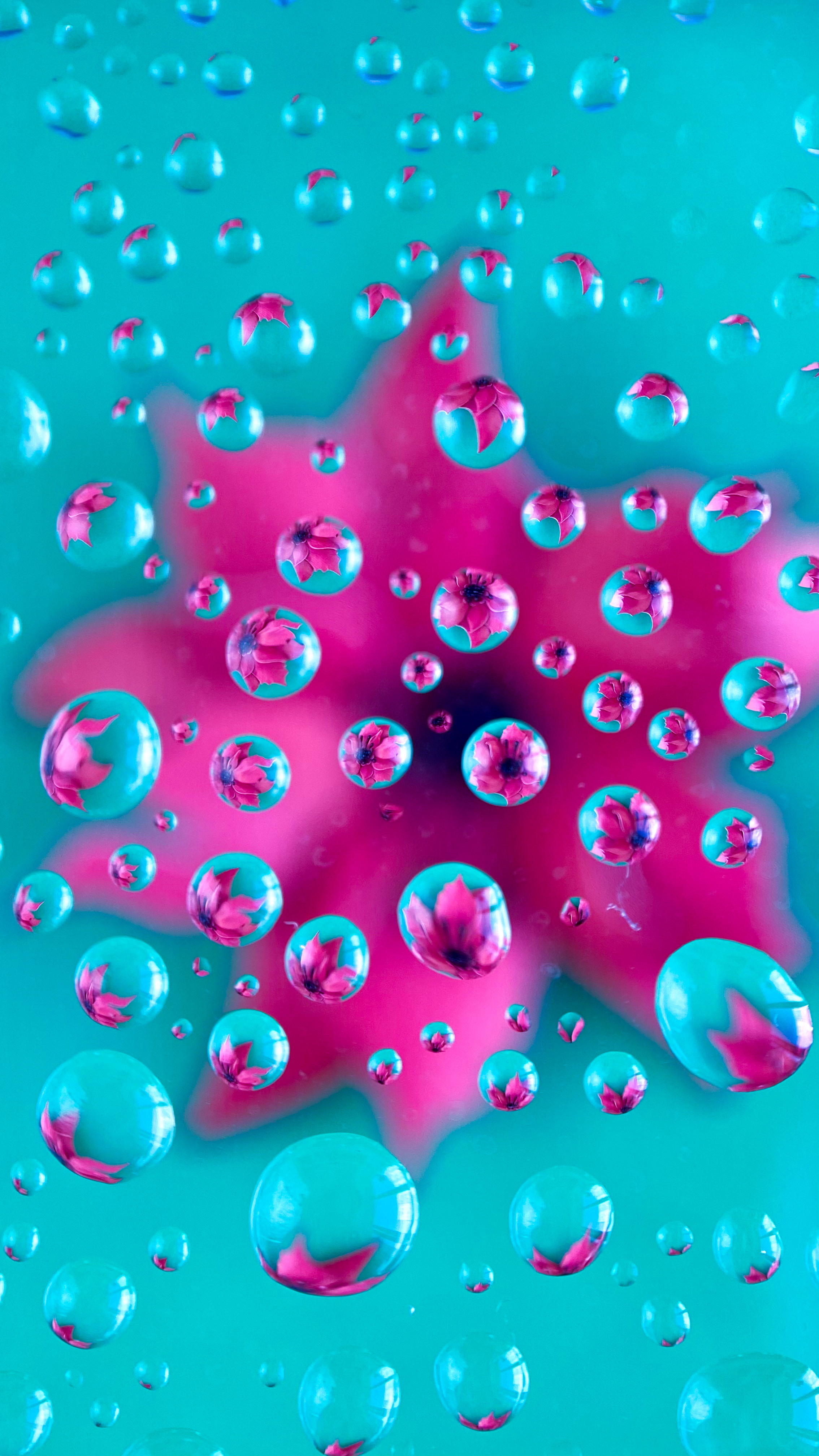 Макросъемка. Фотограф и видеограф в Ставрополе Инна Попова