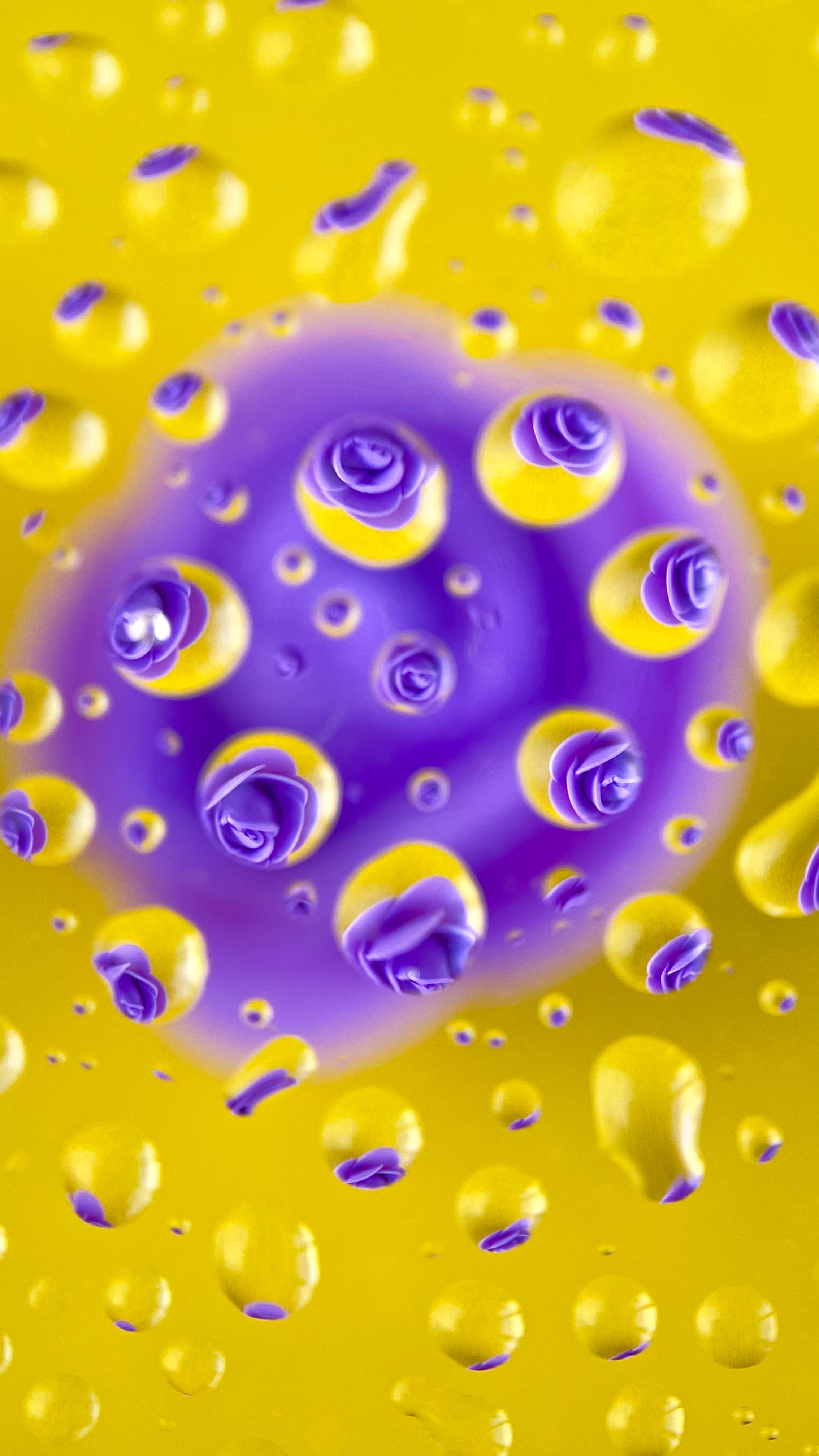 Макросъемка. Фотограф и видеограф в Ставрополе Инна Попова