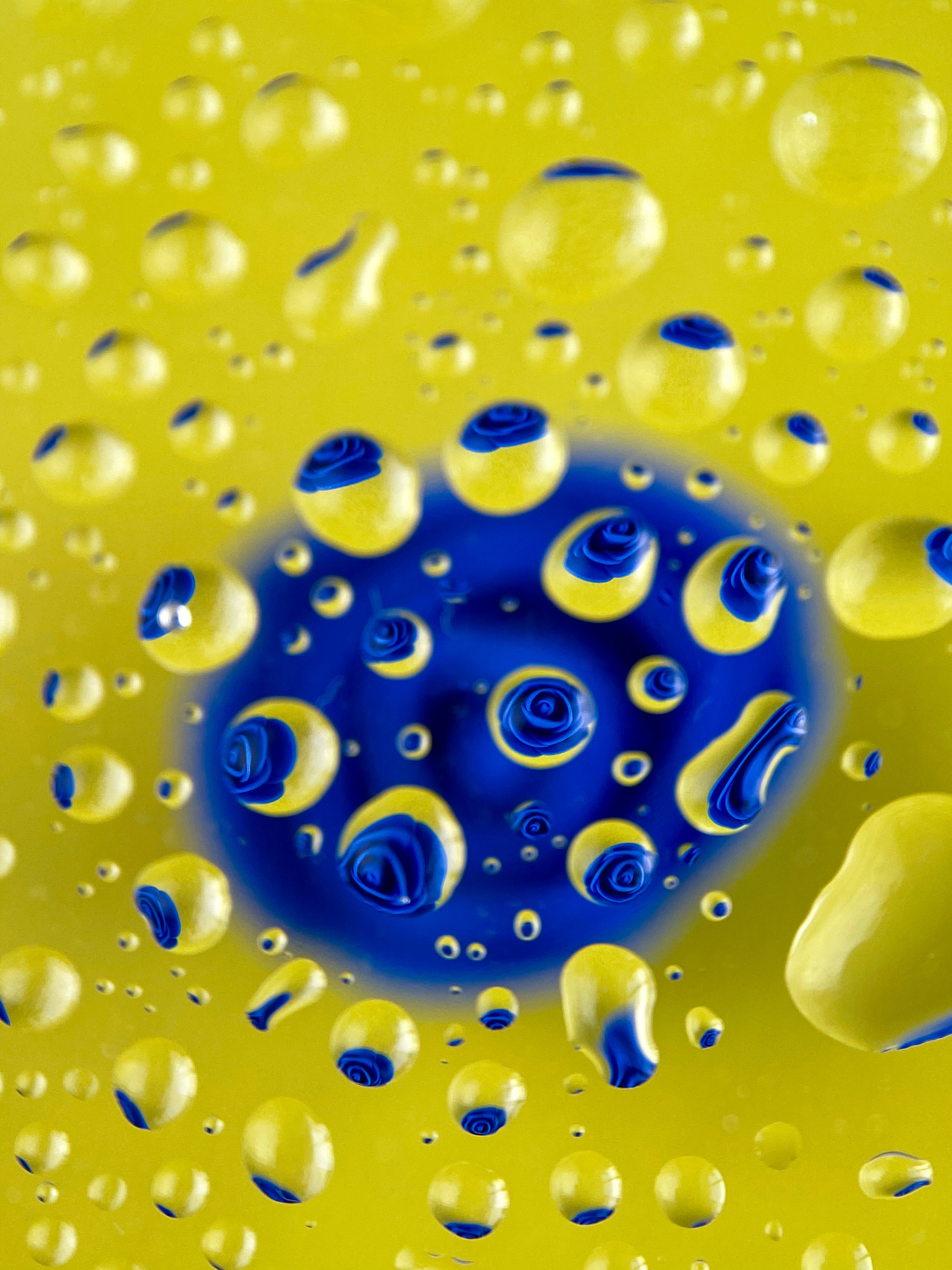 Макросъемка. Фотограф и видеограф в Ставрополе Инна Попова