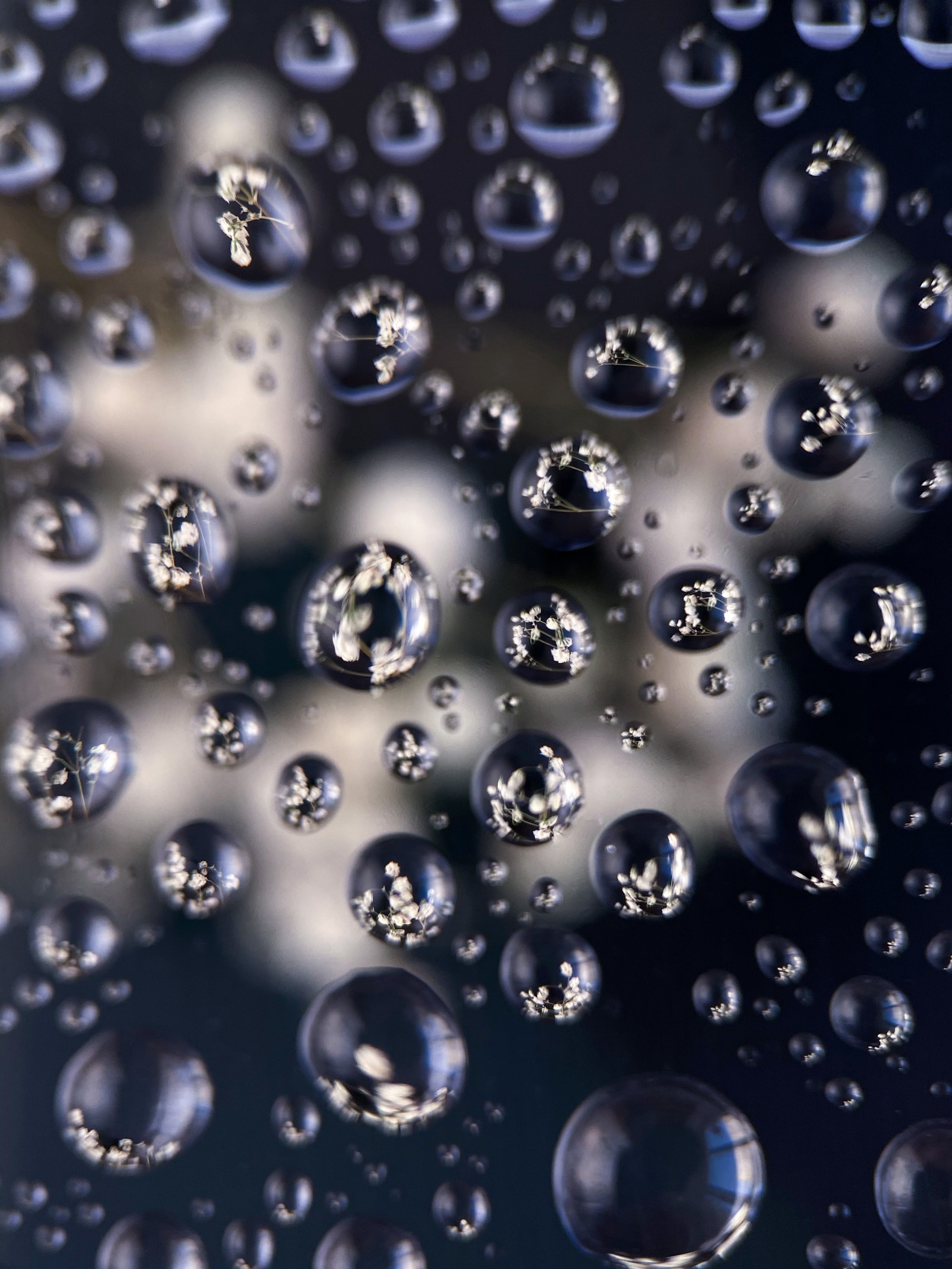 Макросъемка. Фотограф и видеограф в Ставрополе Инна Попова