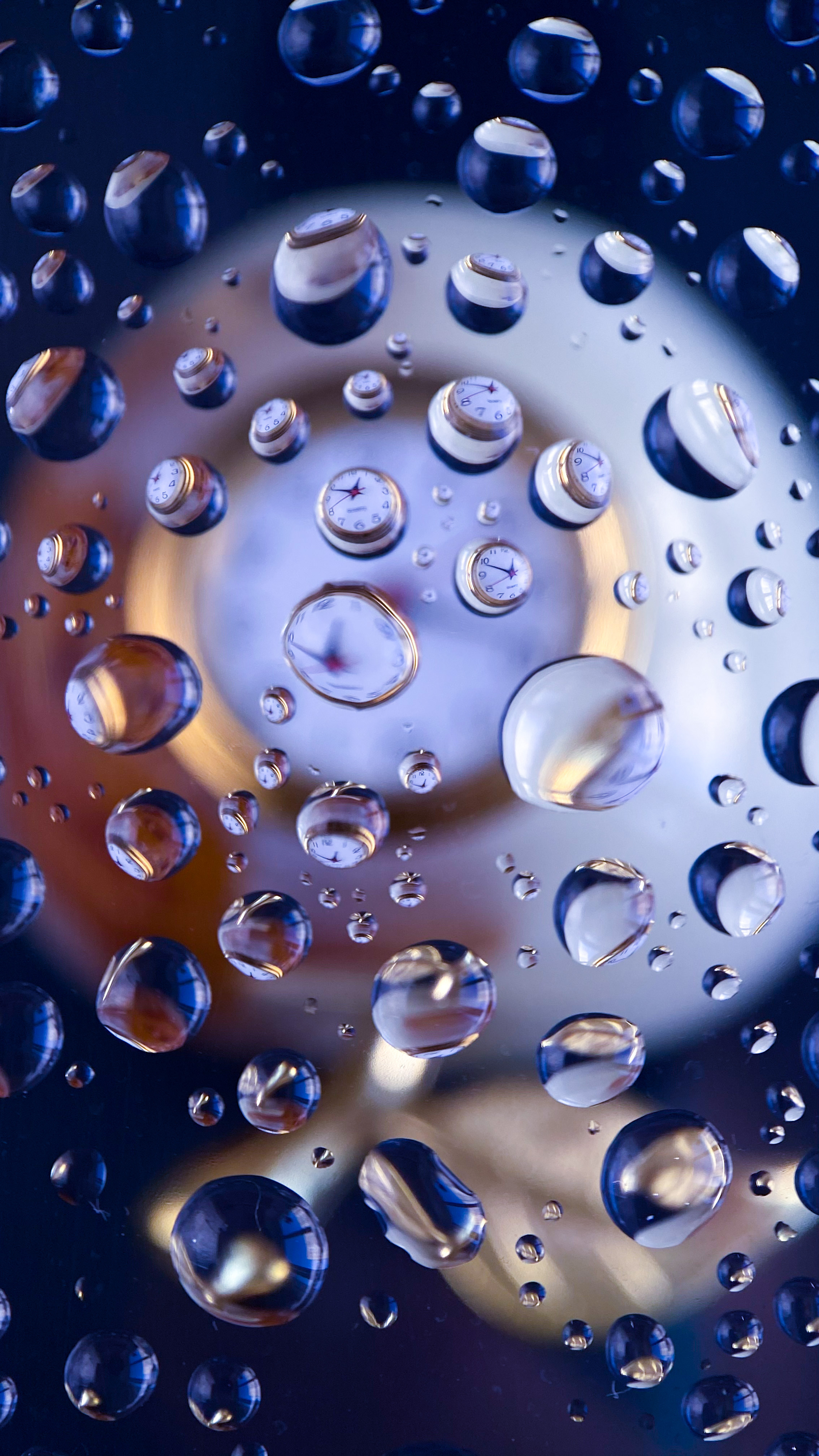 Макросъемка. Фотограф и видеограф в Ставрополе Инна Попова