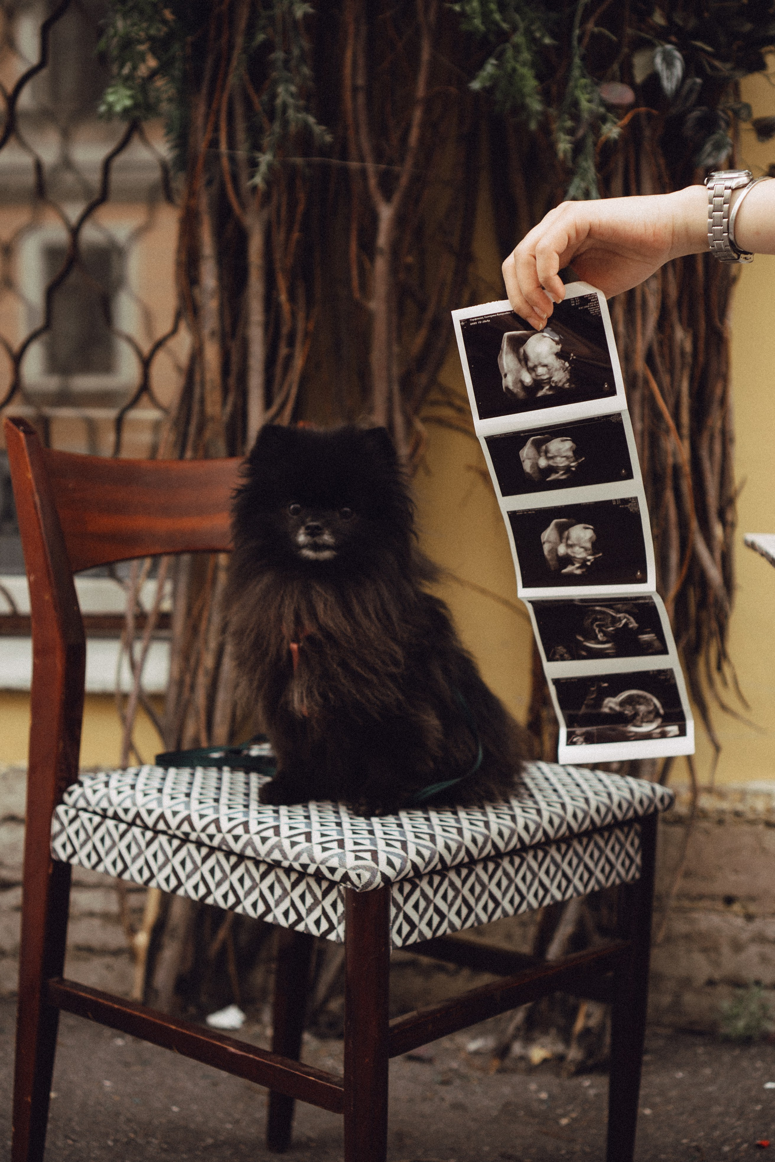 Беременность (только часть фото по желанию клиентов могу показать)). Профессиональный фотограф, Санкт-Петербург — Виктория Богомолова