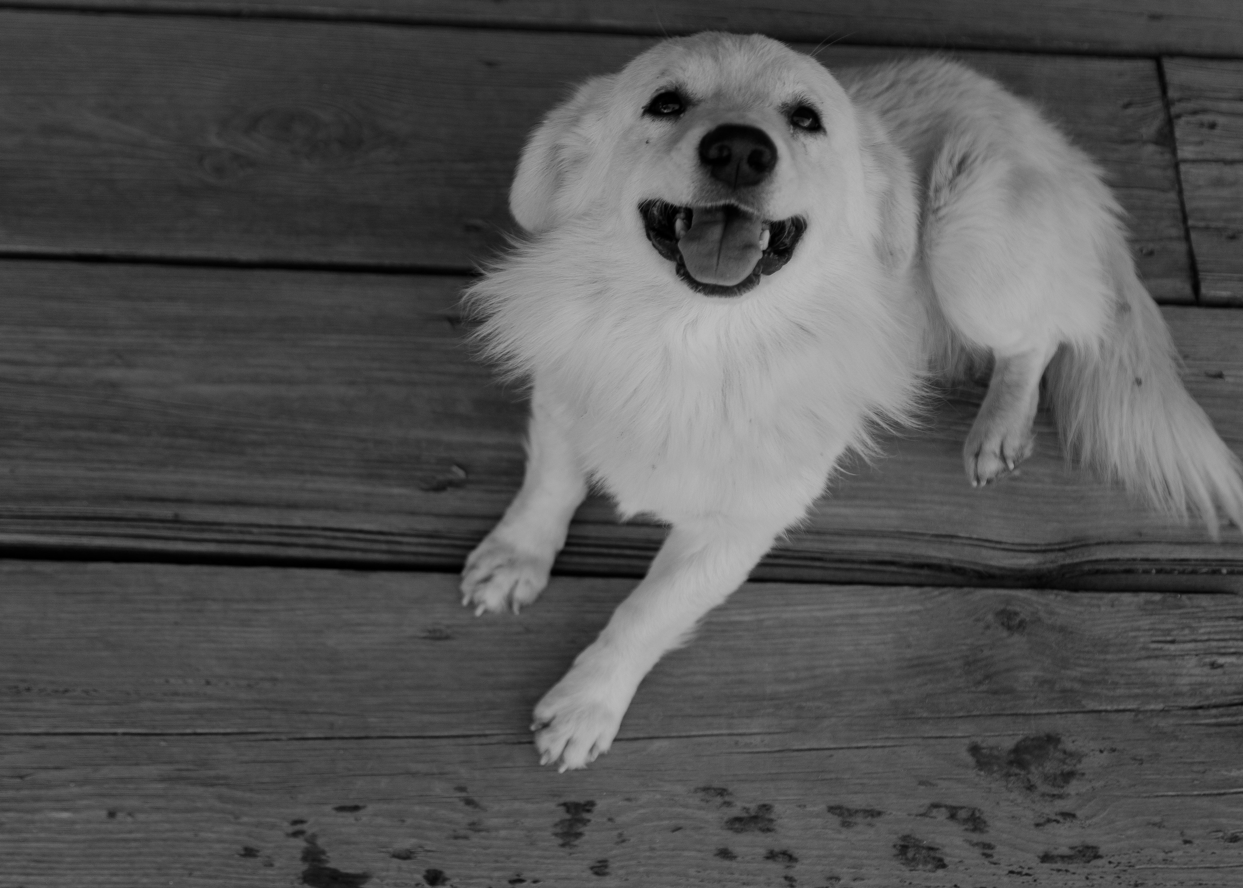 Kadir & Nastya. İrandek. Fotoğrafçı. İzmir