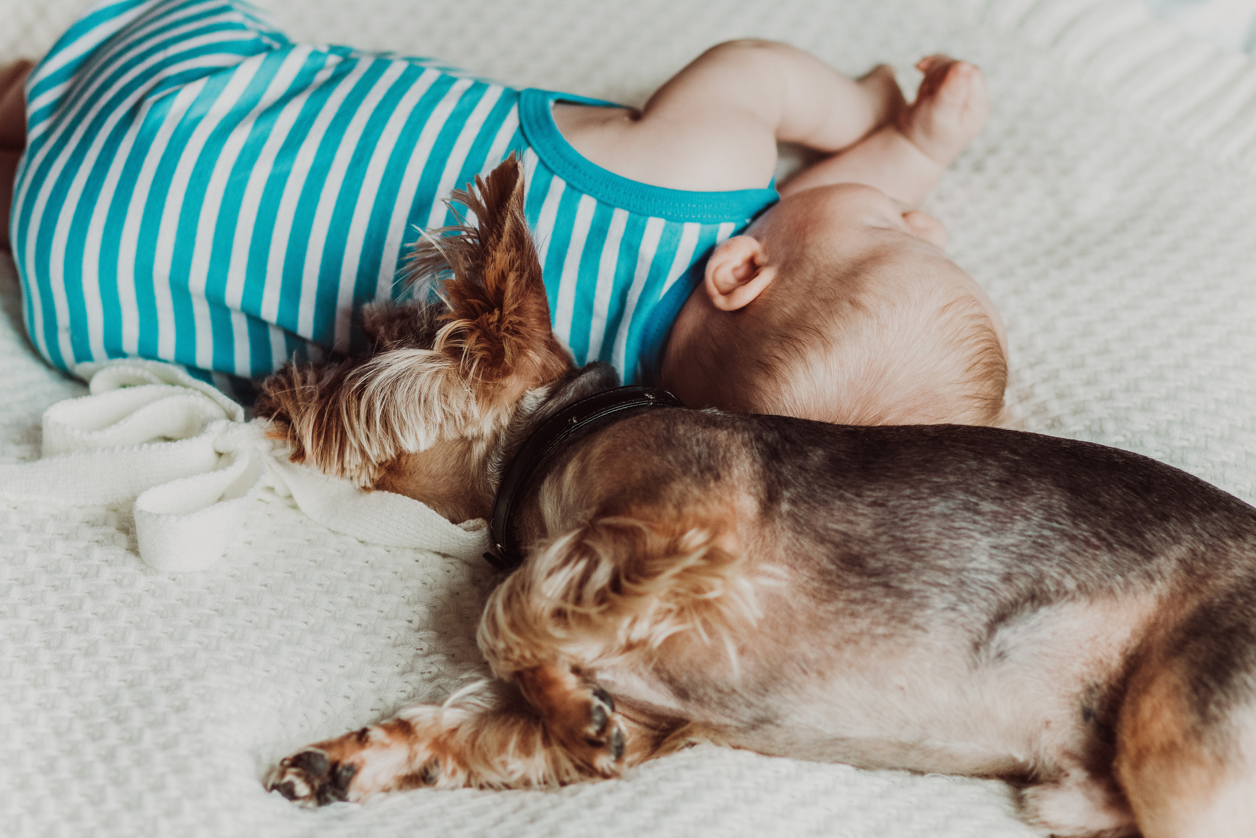 HOME. Фотограф и Видеограф в Москве Дарья Арсентьева