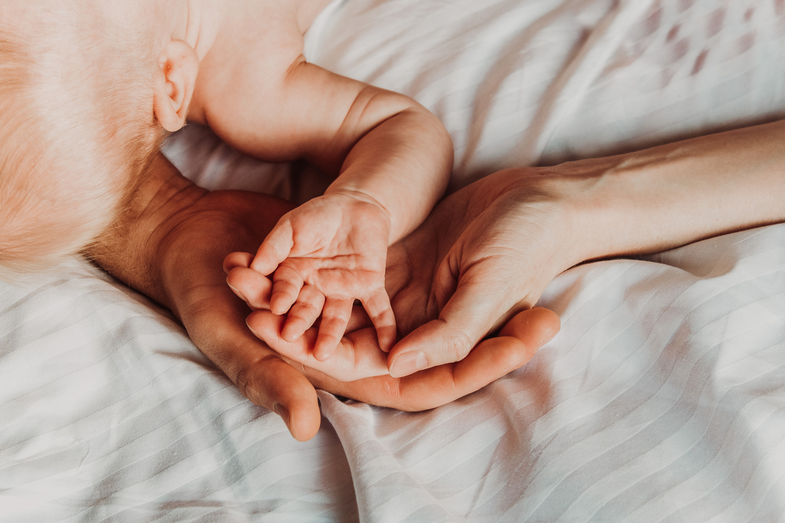 HOME. Фотограф и Видеограф в Москве Дарья Арсентьева