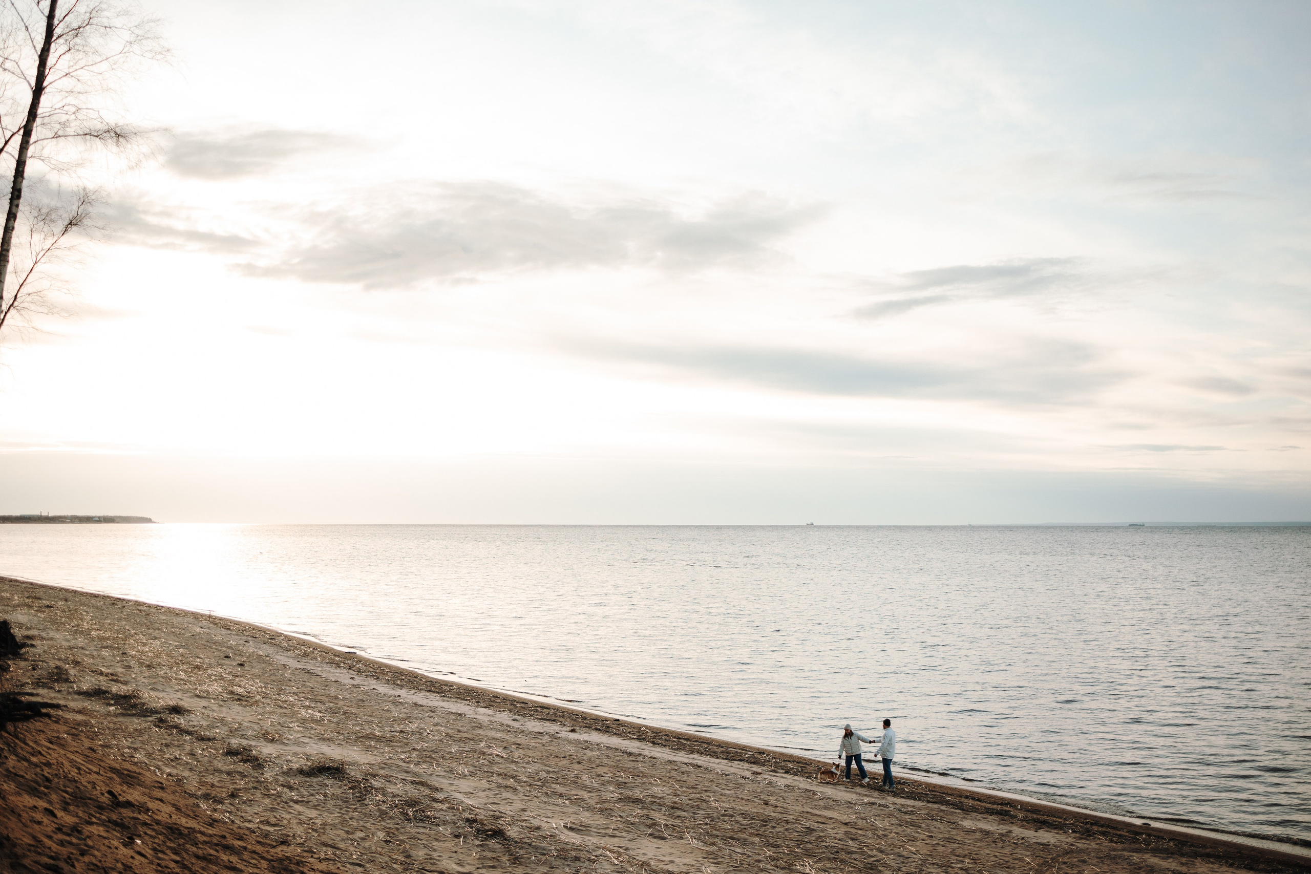 Найт и его семья. Фотограф — Анималист | Санкт-Петербург
