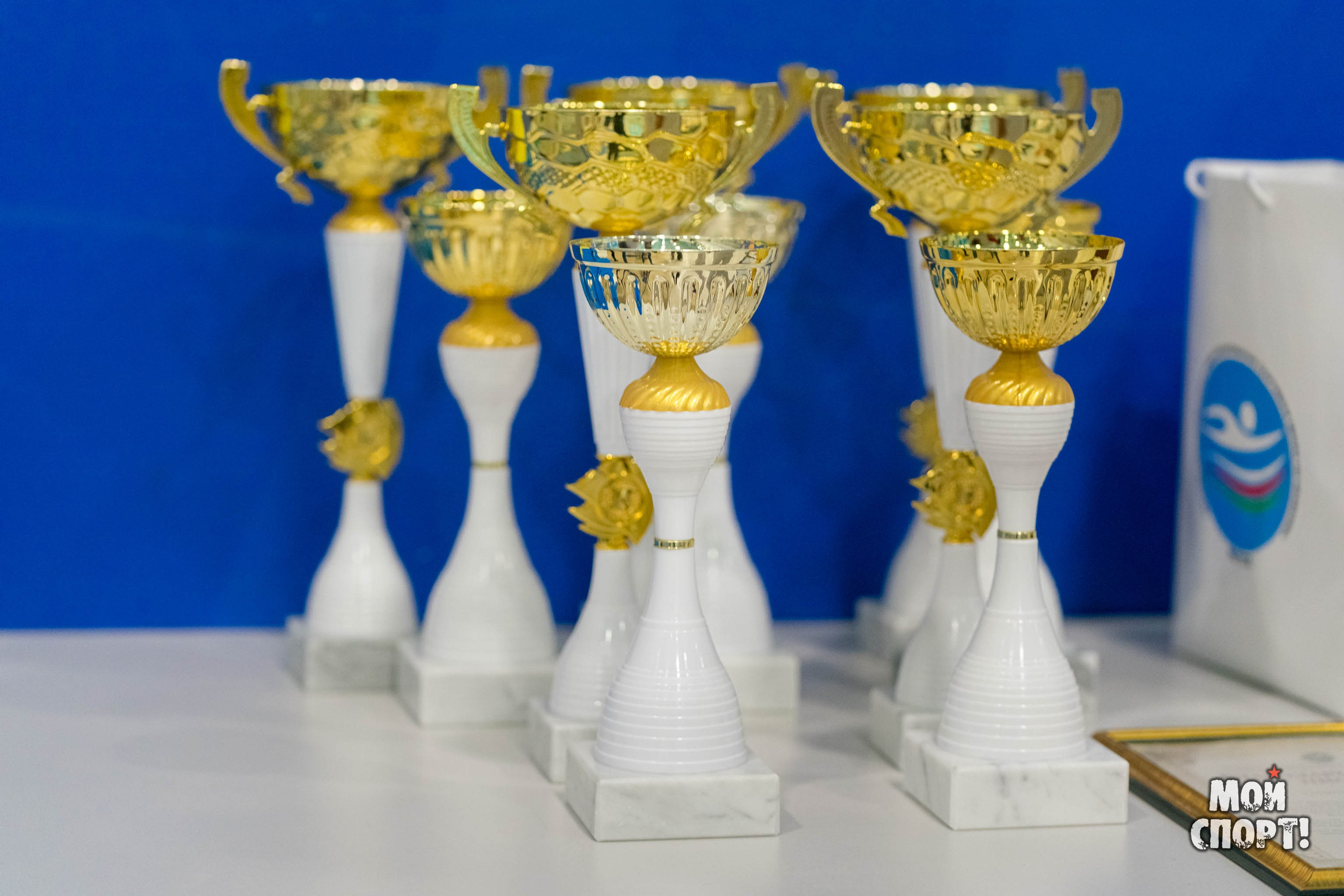 Соревнования по плаванию на призы Деда Мороза. Студия «Мой Спорт!» — все о спорте в Якутии