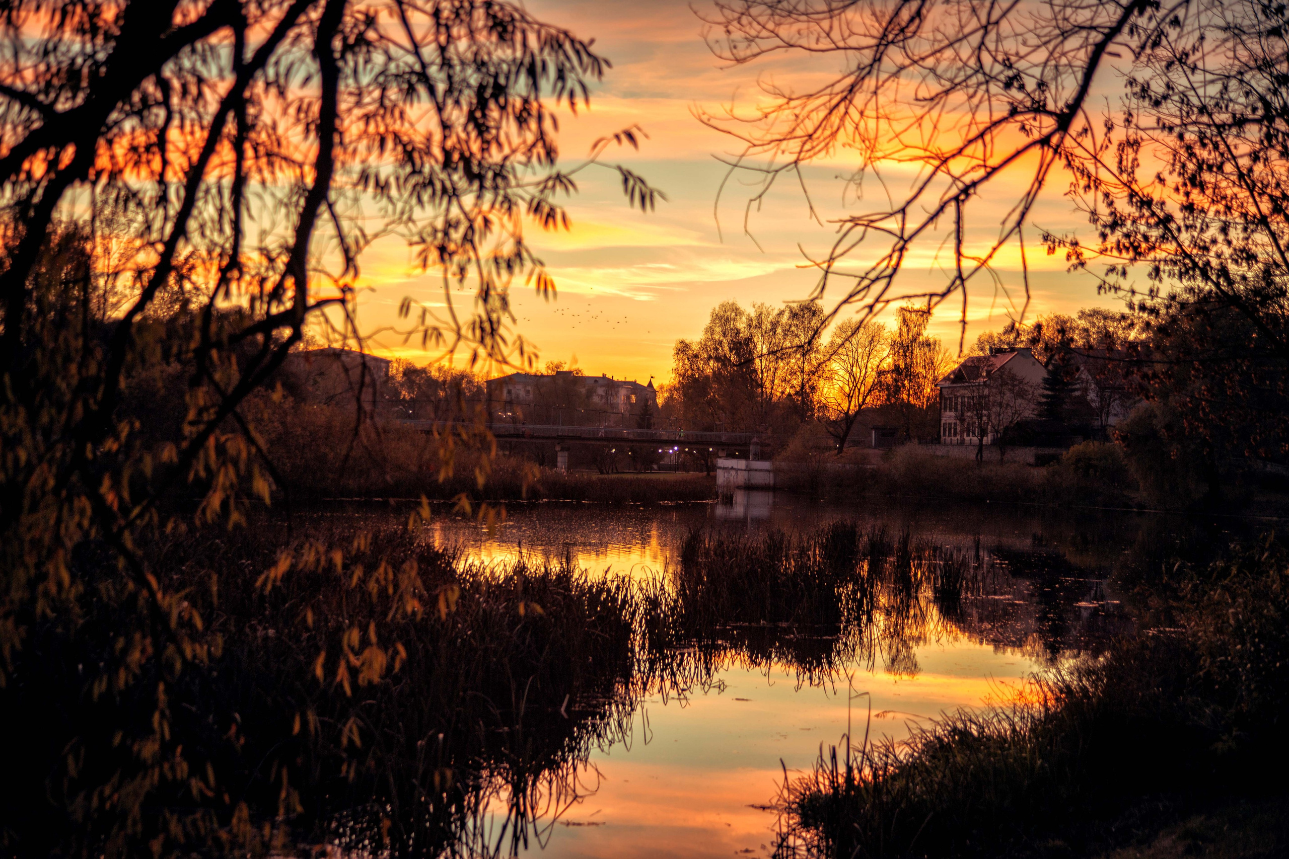 Псков. Семейный и детский фотограф в Москве Ольга Кривенцова