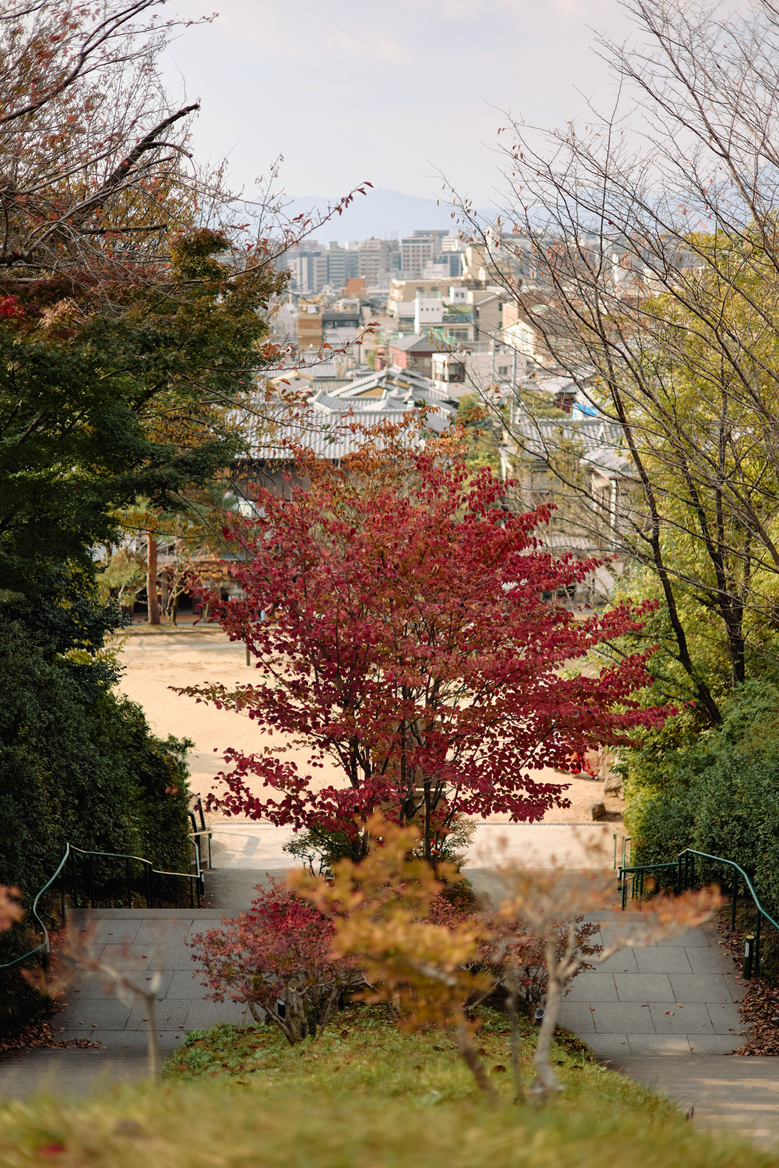 Япония. Профессиональный Фотограф во Владимире, в Москве и в Суздале — Полина Романычева