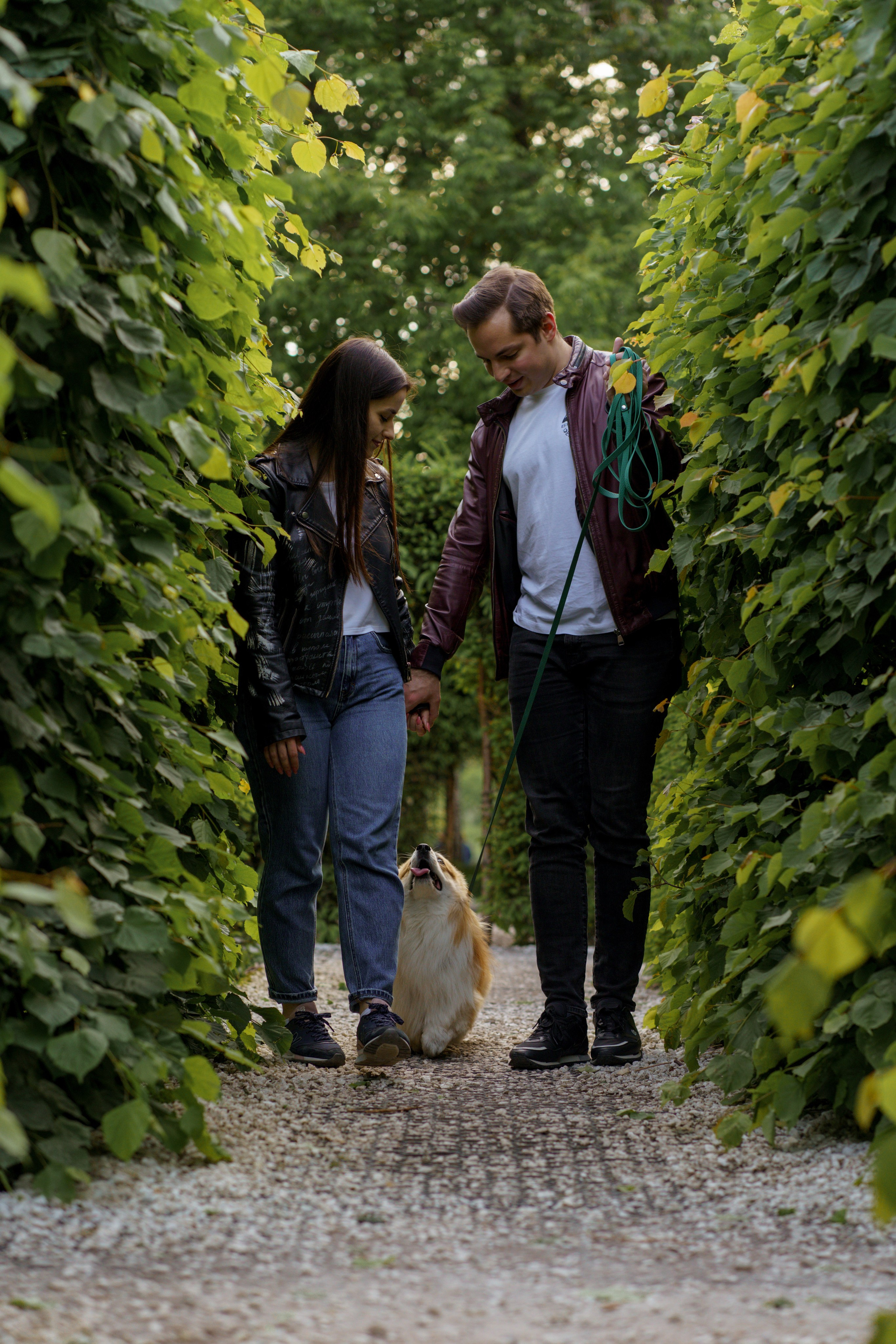 Катя, Арсений и Пух. Свадебный фотограф в Москве Анна Полушина
