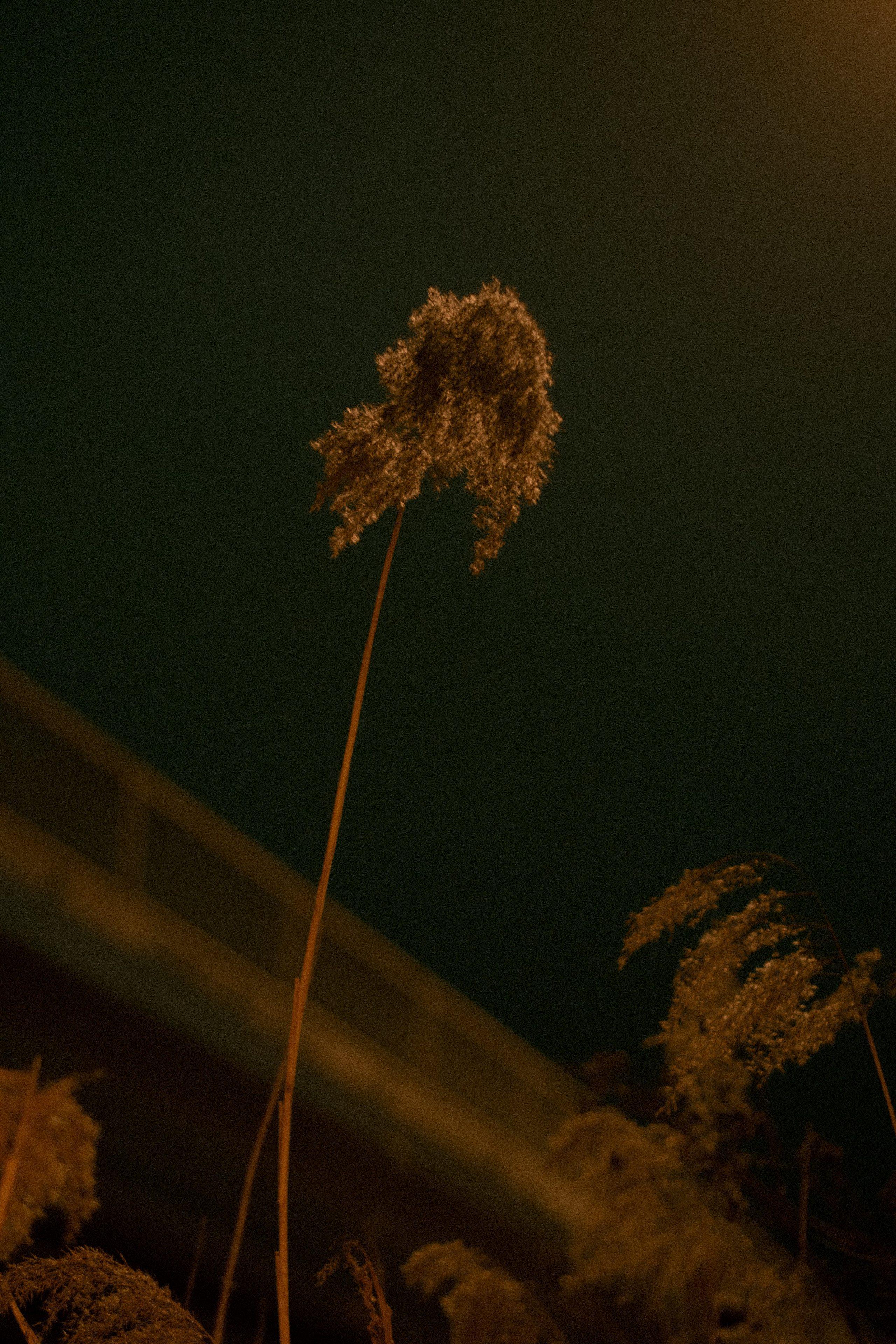 Соня. Ночь. Фотограф в Челябинске Любовь Денисенко