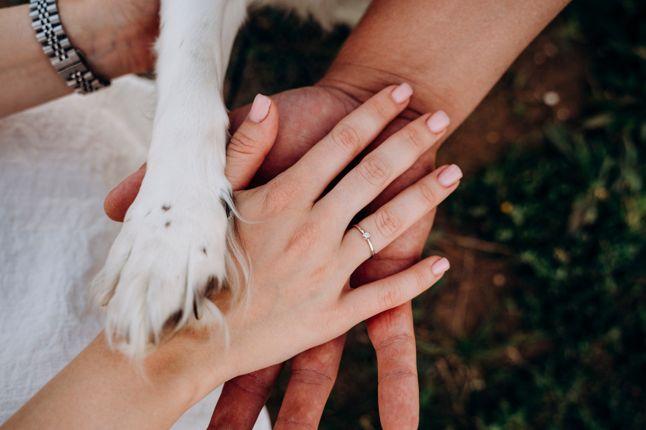 Семейный и детский фотограф Анастасия Монченко