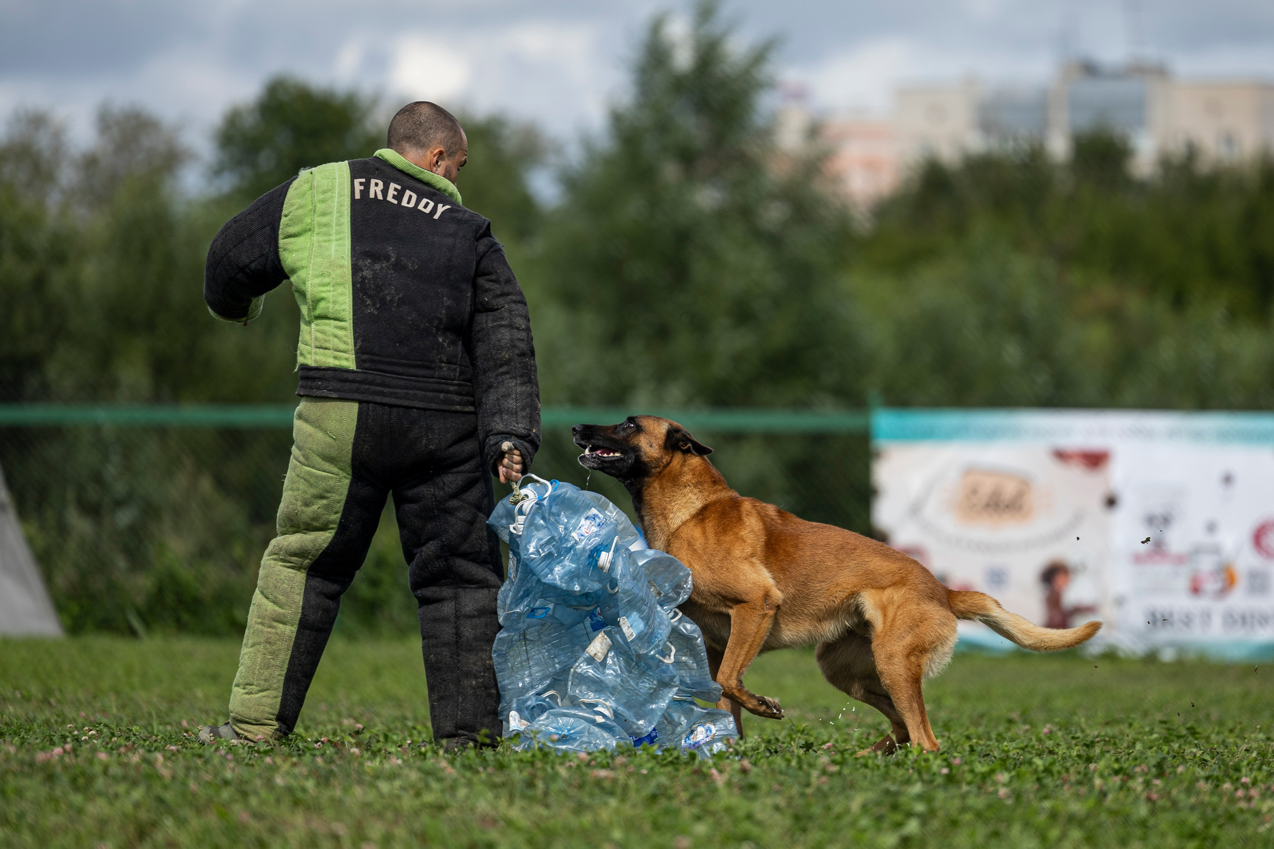 Соревнования по Мондьорингу г. Вологда 10-11.08.2024. Фотограф-анималист Анна Маринич