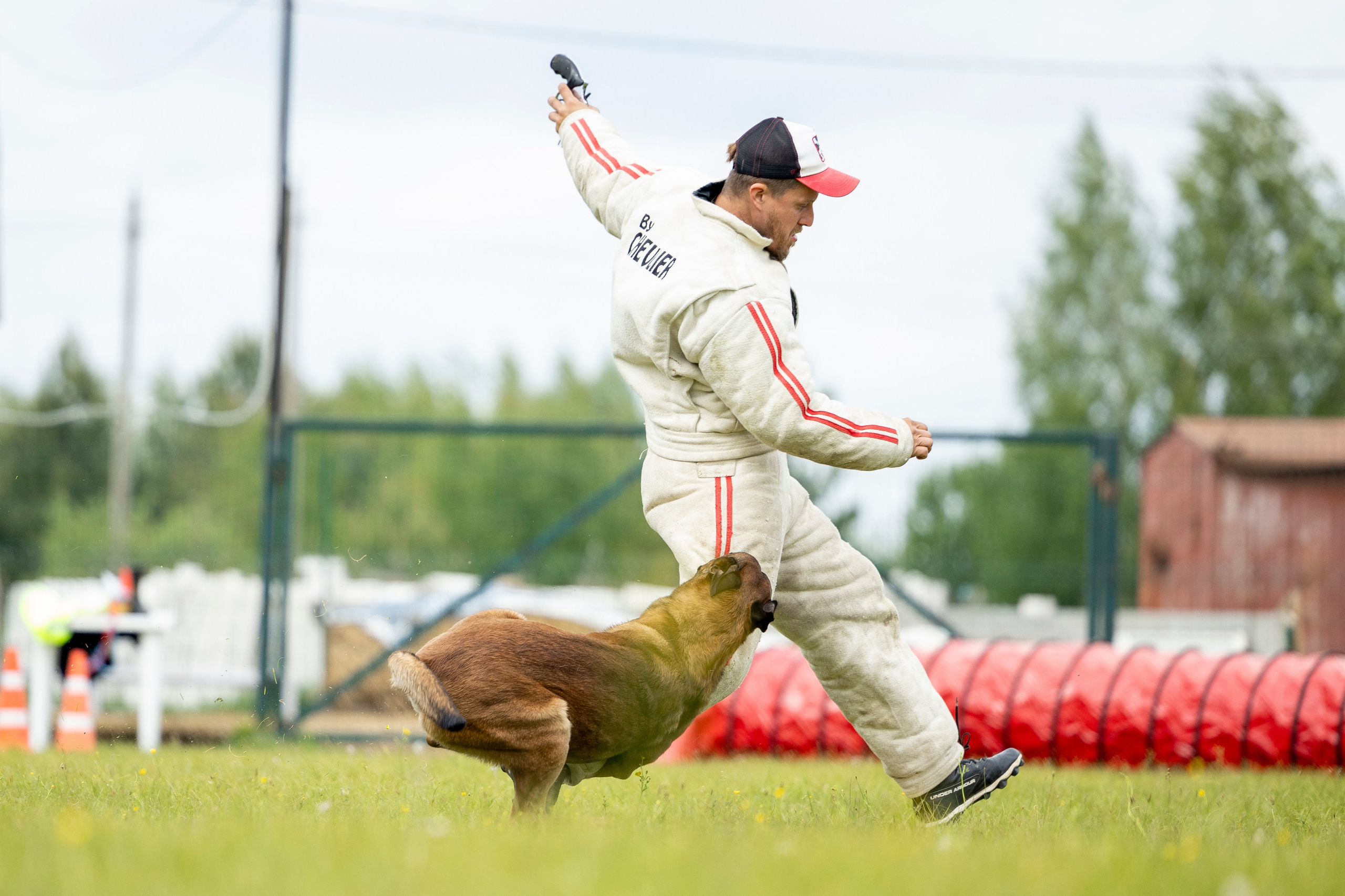 Испытания по мондьорингу в Нижнем Новгороде. Фотограф-анималист Анна Маринич