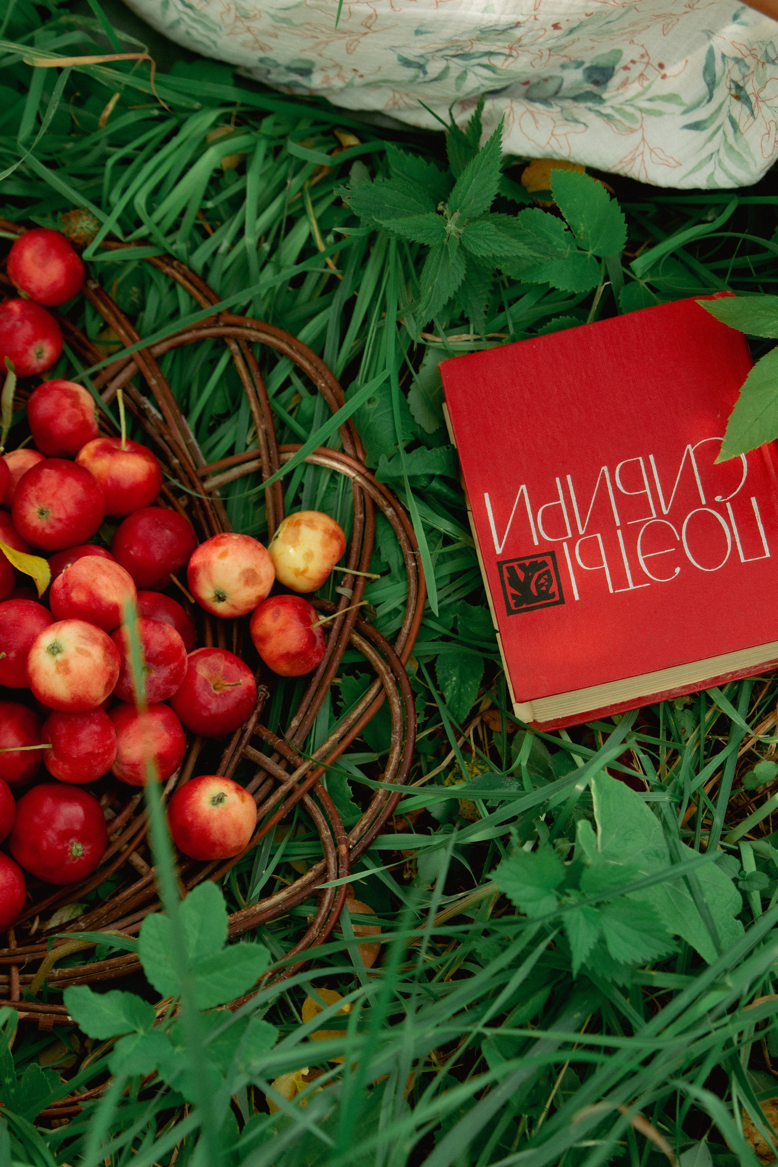 Саша. Екатерина Пашкова, фотограф, видеограф в Томске