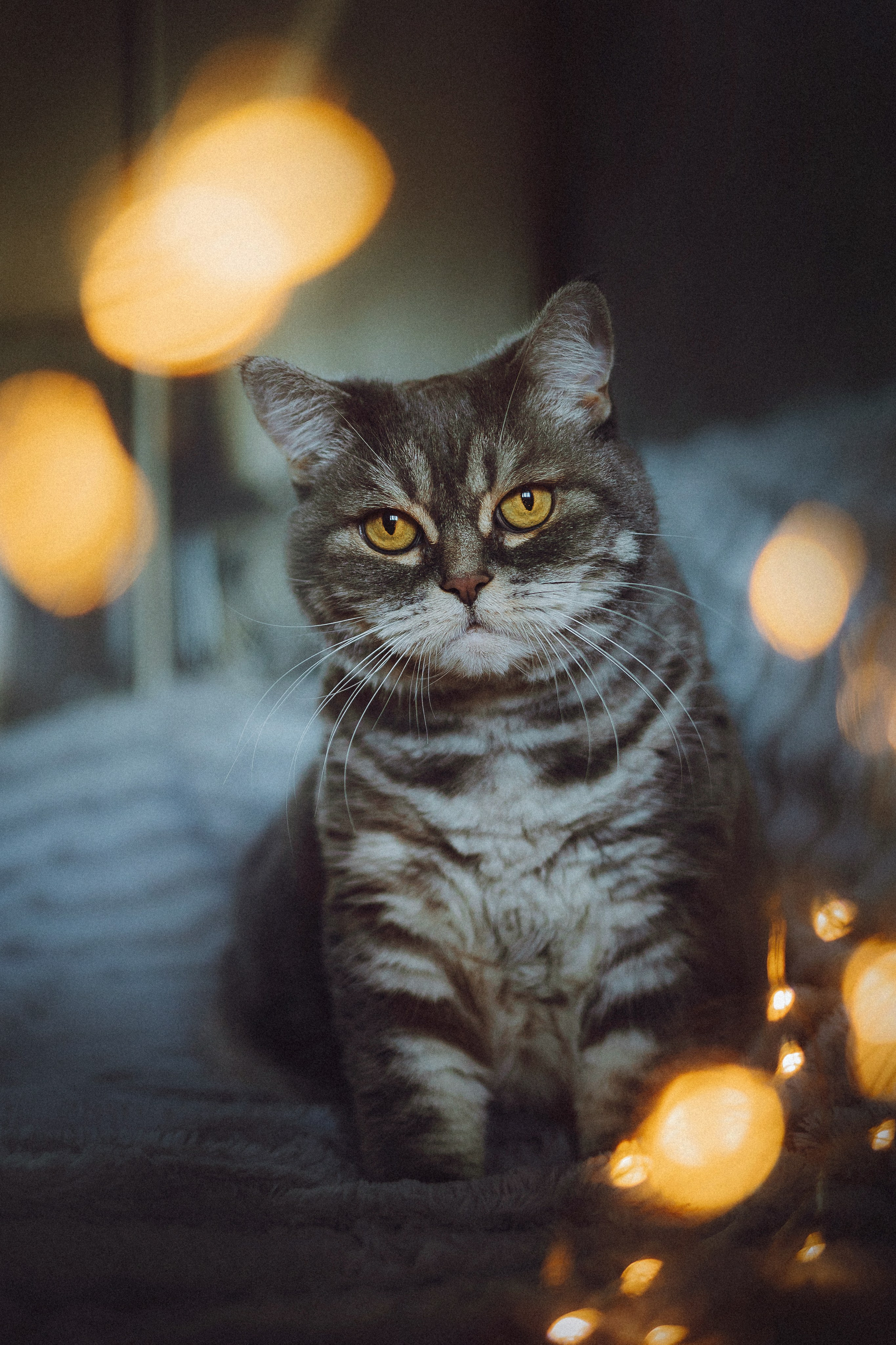 Яся и ее семья