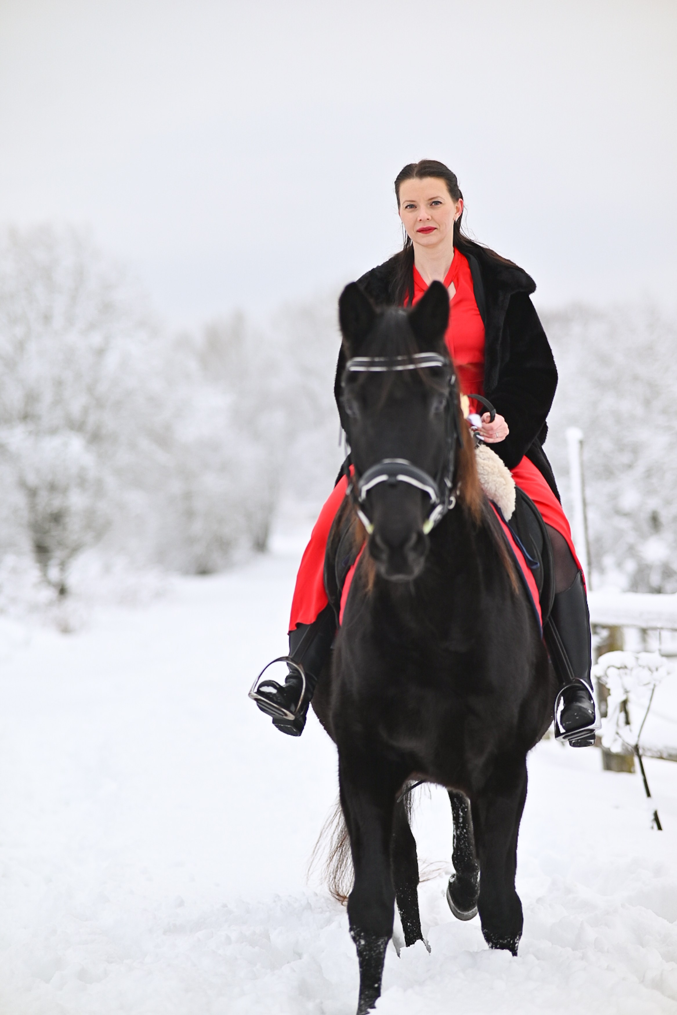 King. LifeStyle фотограф Анна Воробьёва Санкт-Петербург