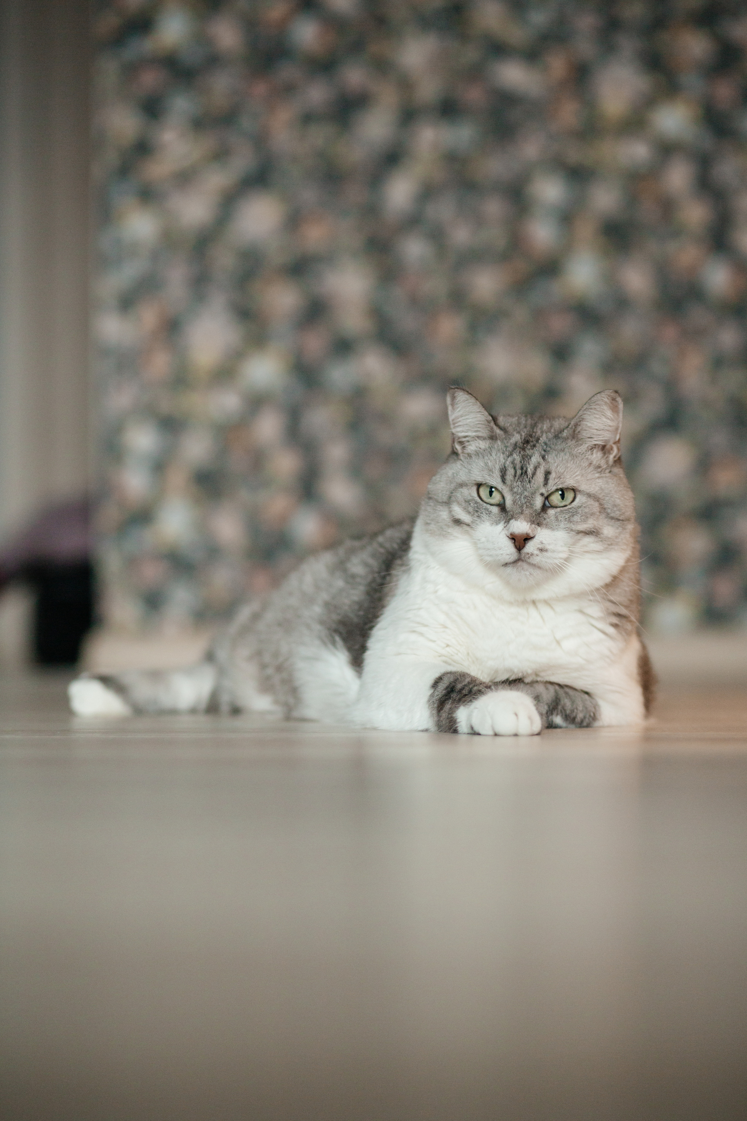 Патроны с мелкой. Свадебный и Репортажный фотограф Нижний Новгород Москва Ежов Иван