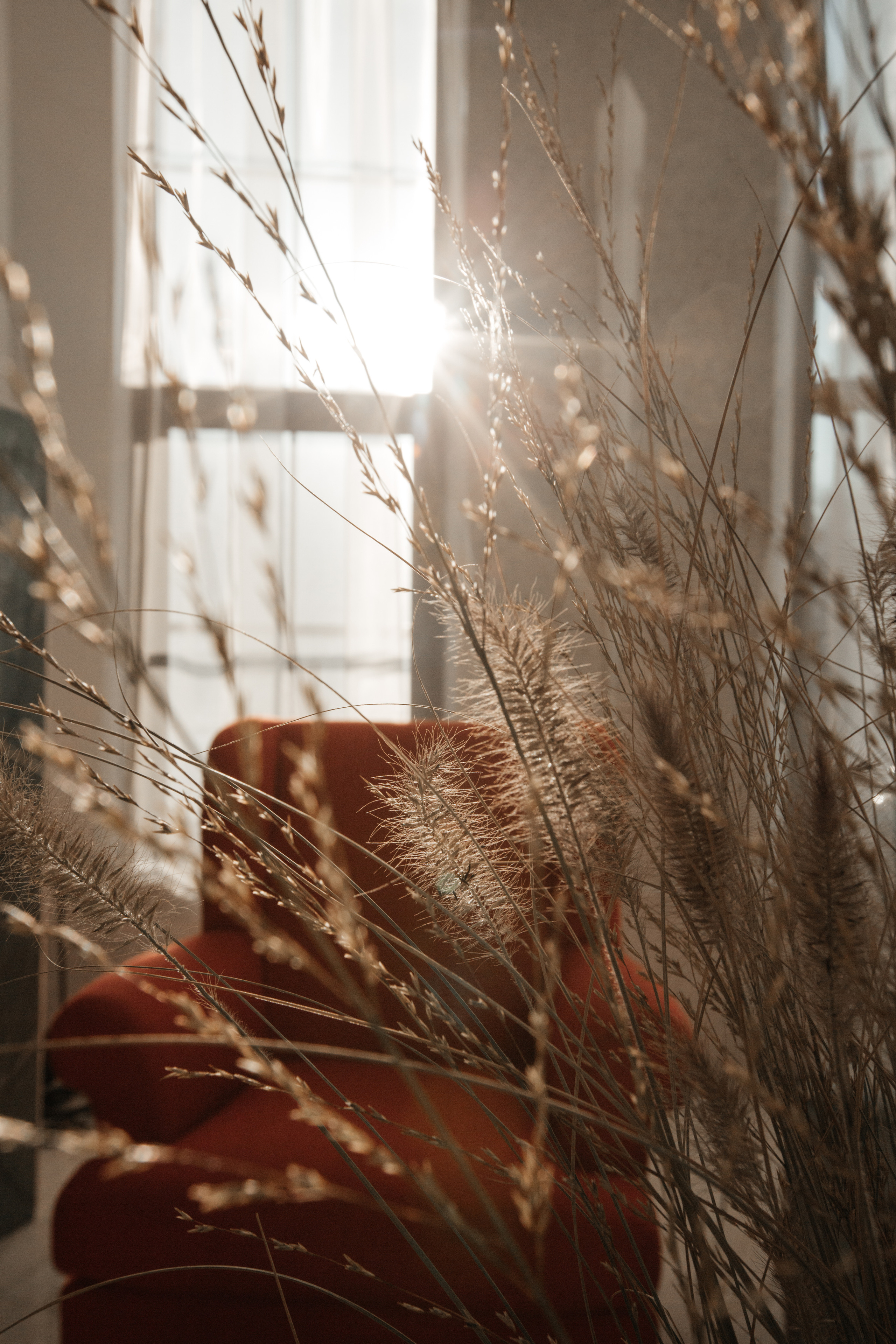 ВЛАД И АЛИНА. Свадебный и Репортажный фотограф Нижний Новгород Москва Ежов Иван