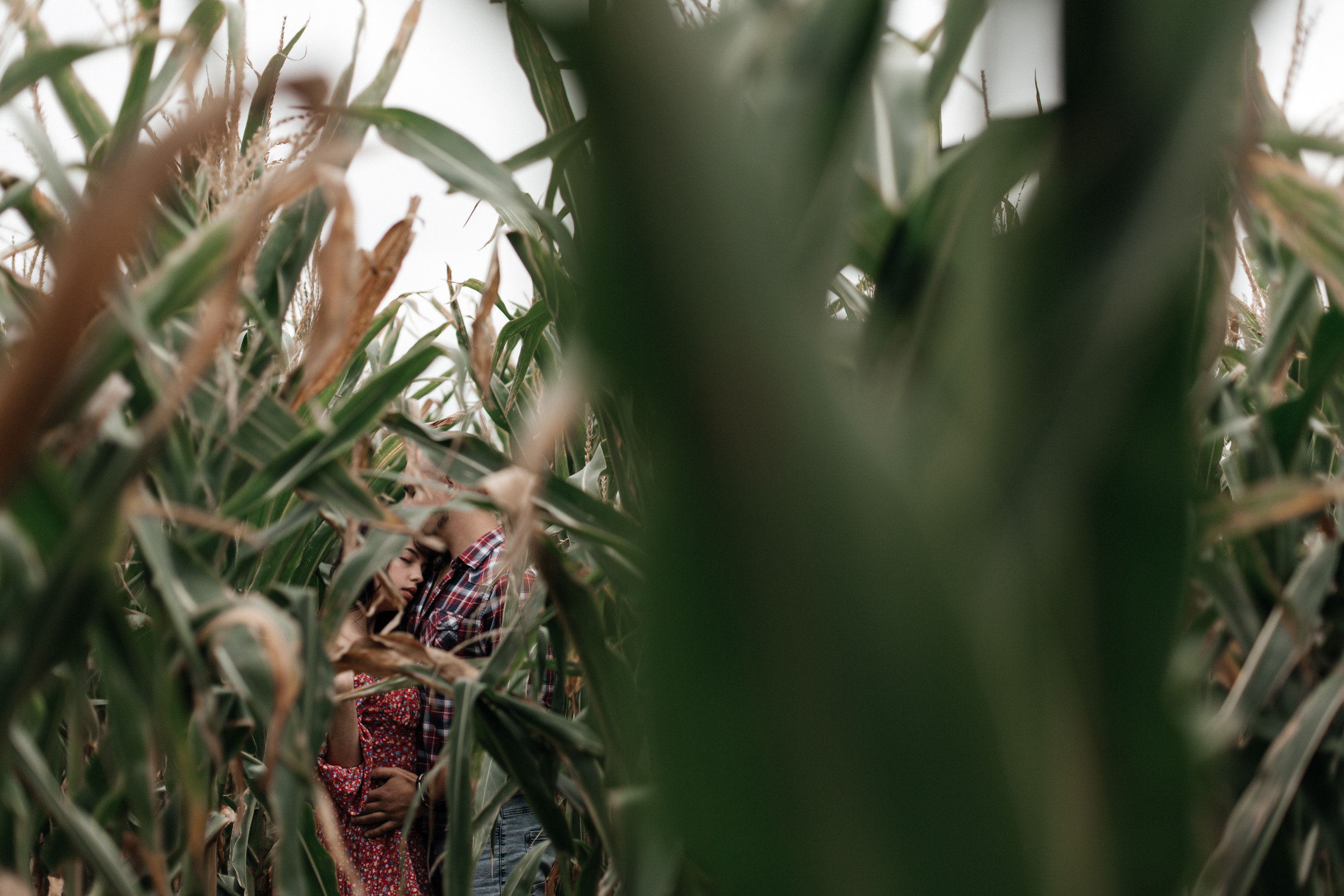Антон и Алена. Свадебный и Репортажный фотограф Нижний Новгород Москва Ежов Иван