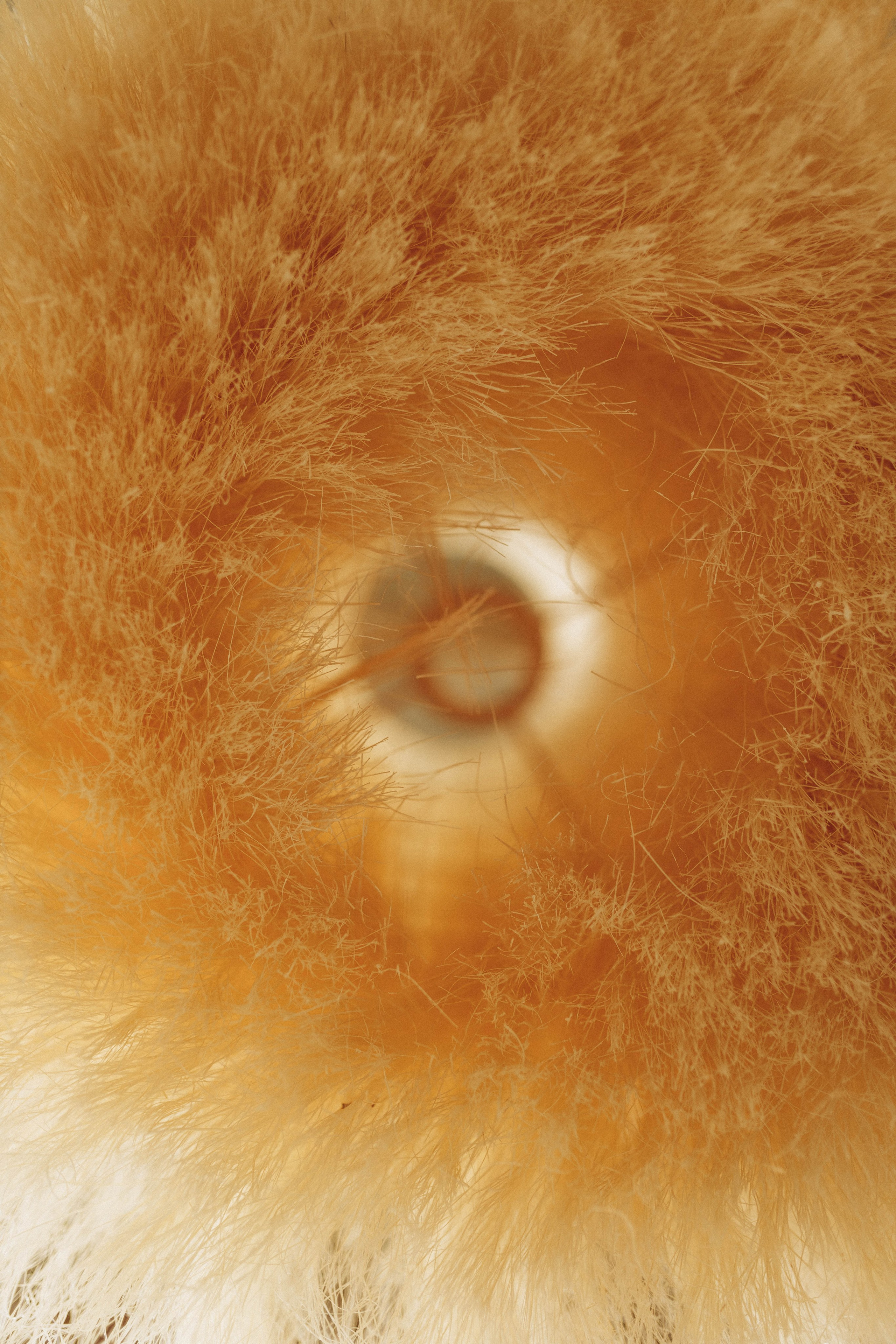 Мастерская по изготовлению мебели