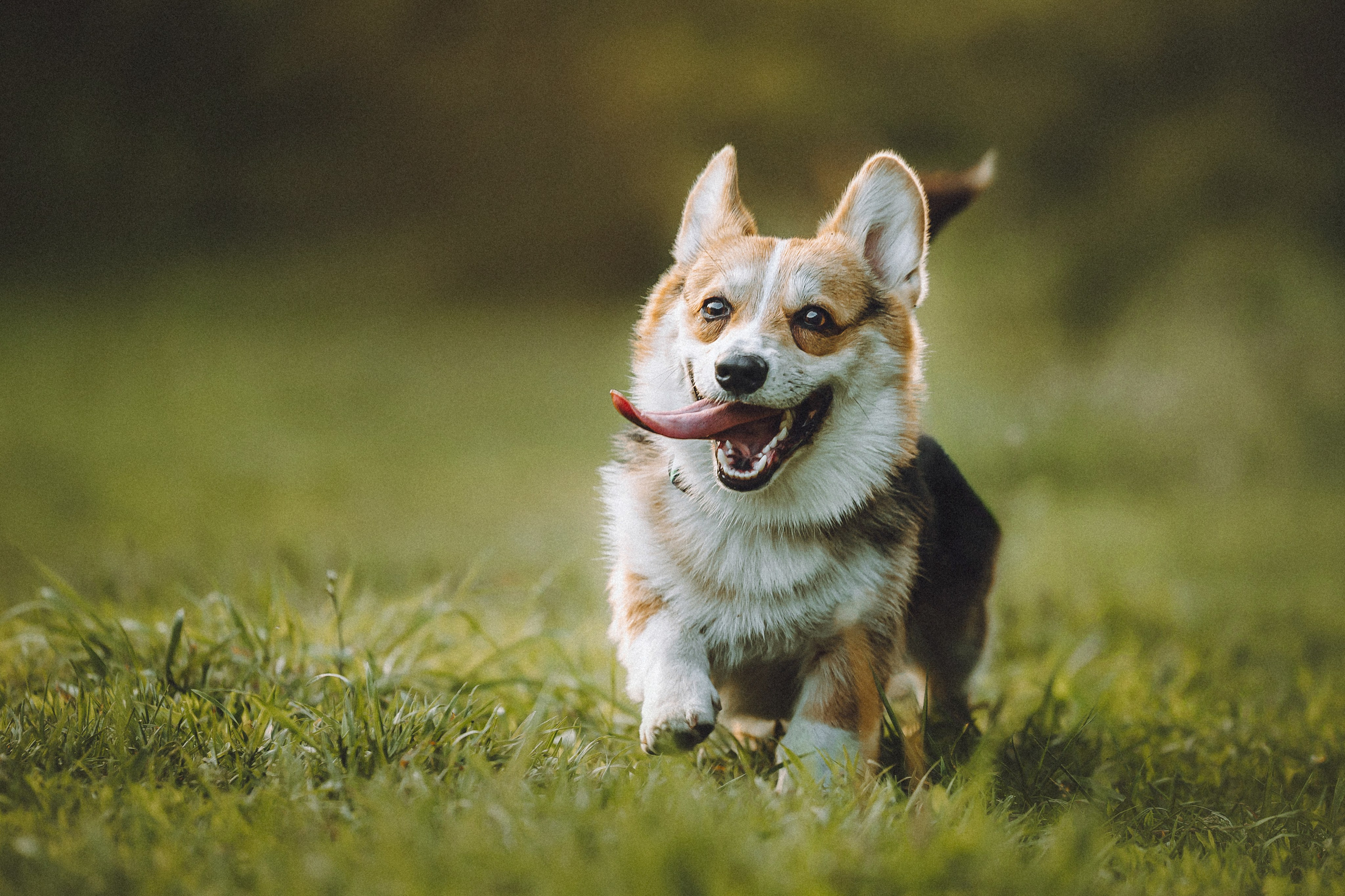 Илай, Зайка и их семья