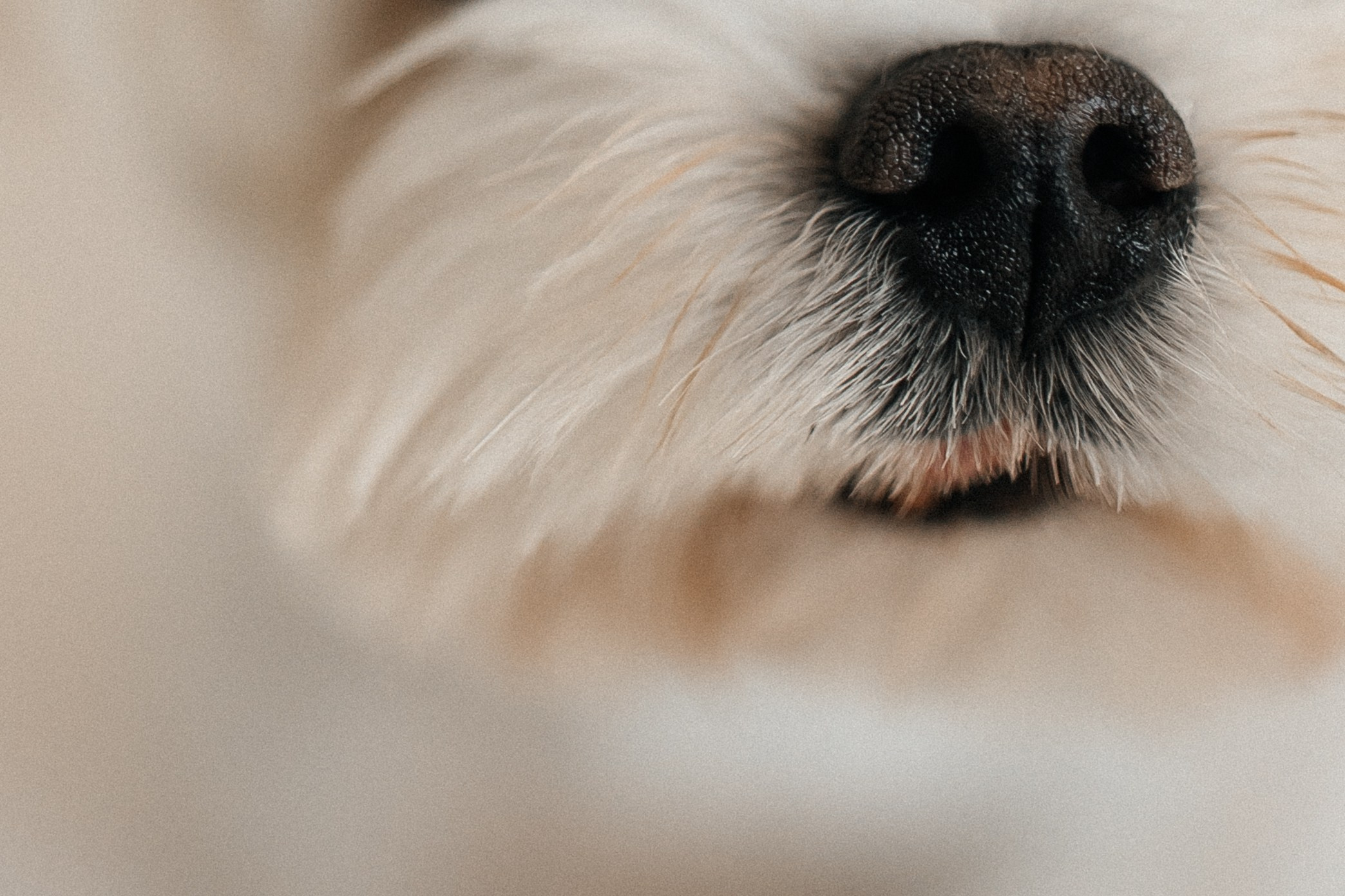 Владислав & Ксения. СВАДЕБНЫЙ ФОТОГРАФ ЕВГЕНИЯ МОДИНА Ярославль